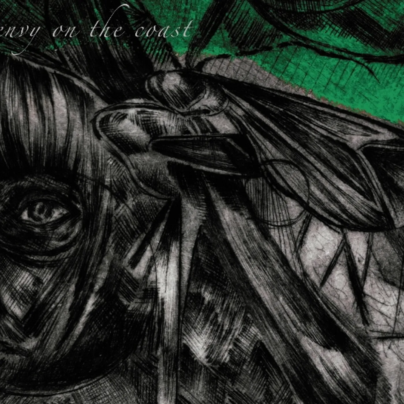 ENVY ON THE COAST CD