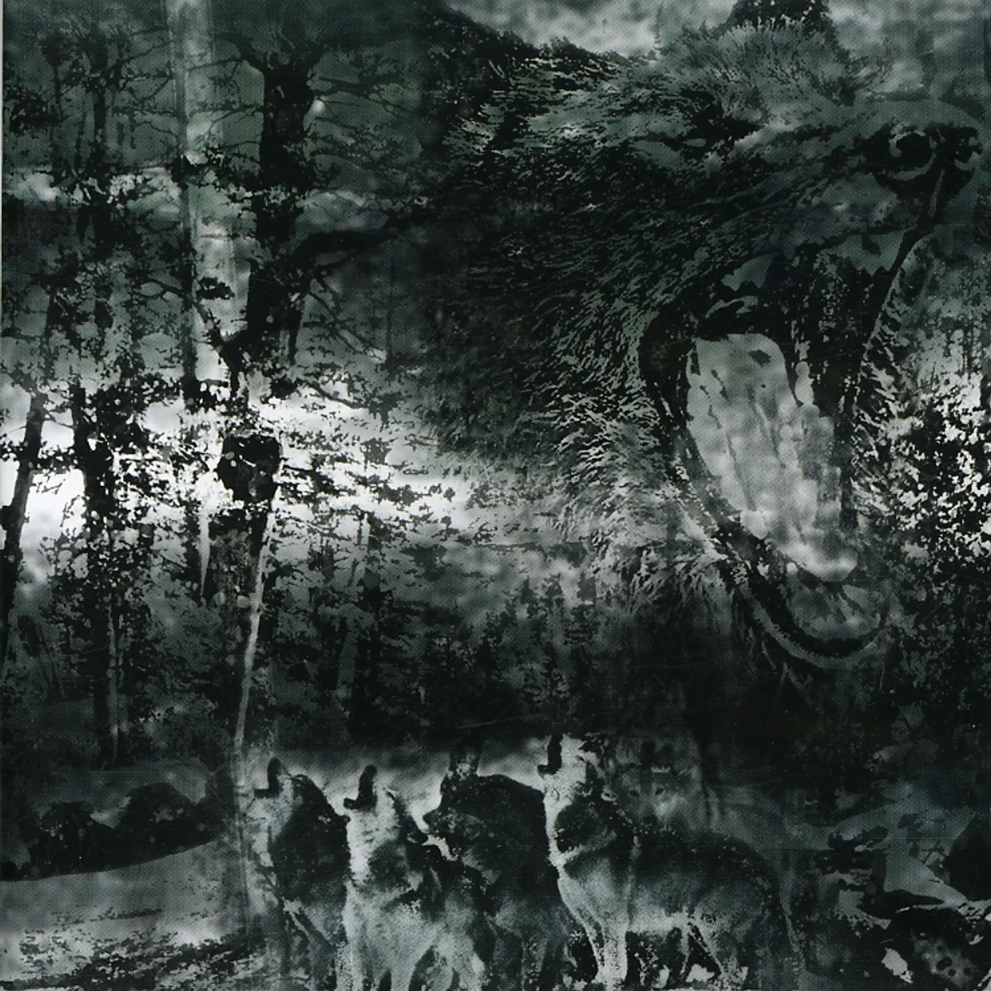 Catamenia BRINGING THE COLD TO POLAND DVD