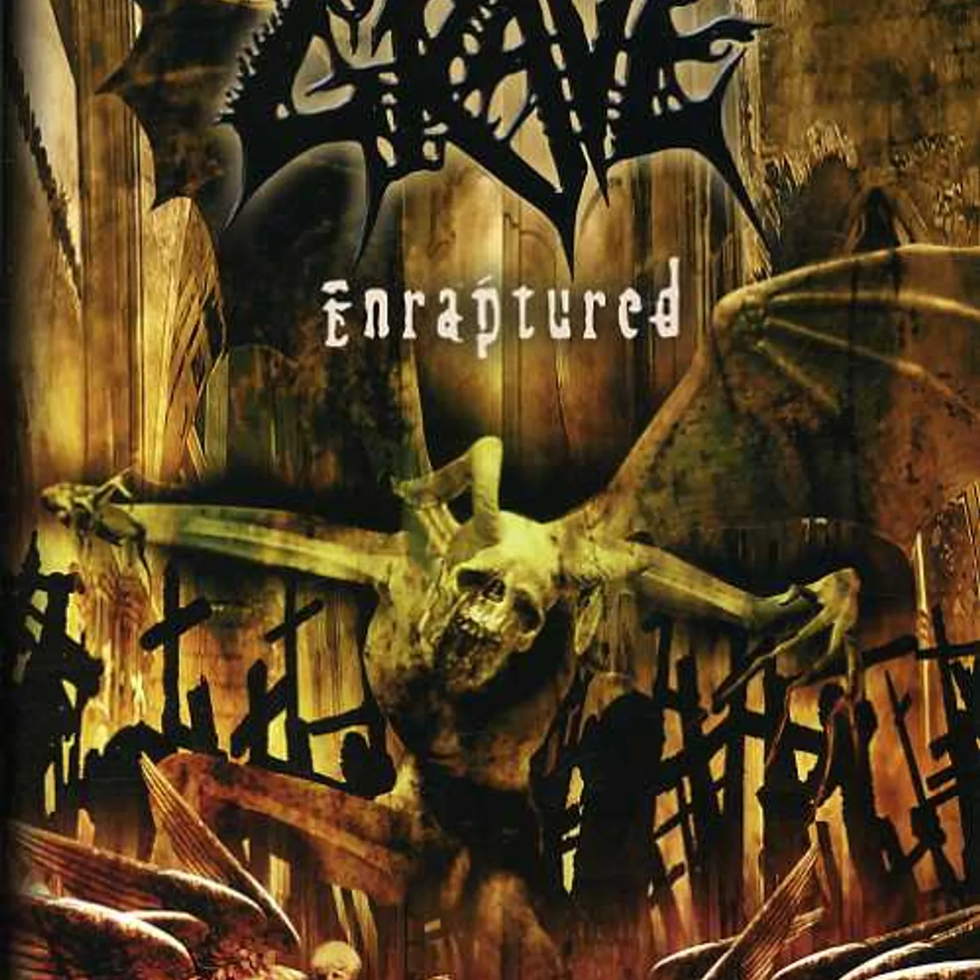 Grave ENRAPTURED DVD