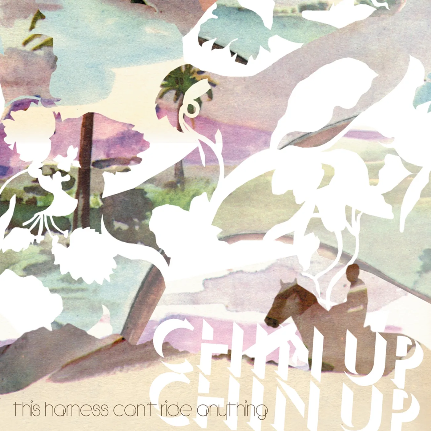 Chin Up Chin Up THIS HARNESS CAN'T RIDE ANYTHING CD