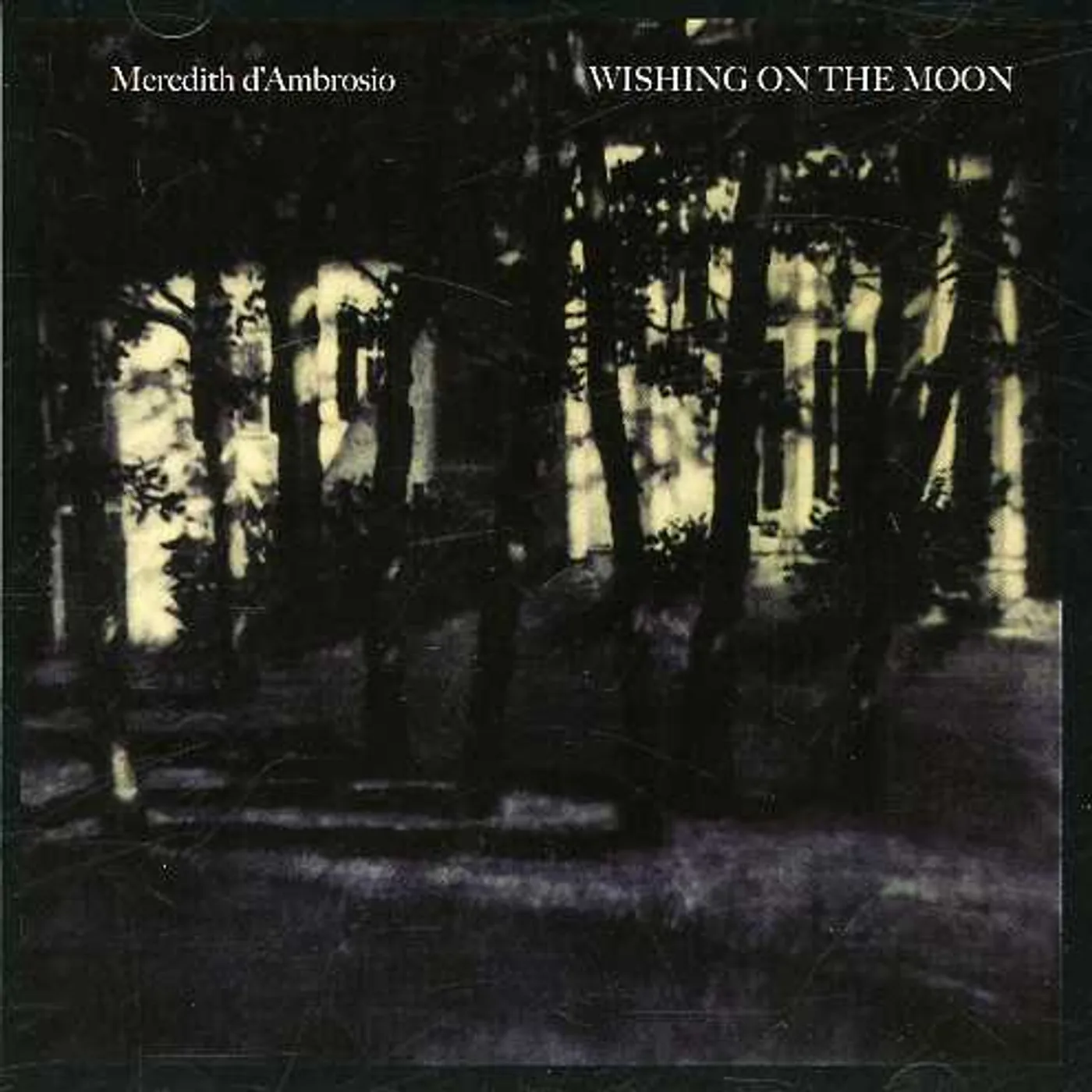 Meredith d'Ambrosio WISHING ON THE MOON CD