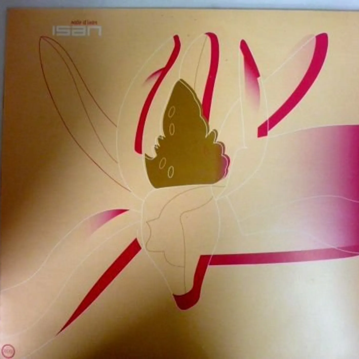 Salle D'Isan Vinyl Record