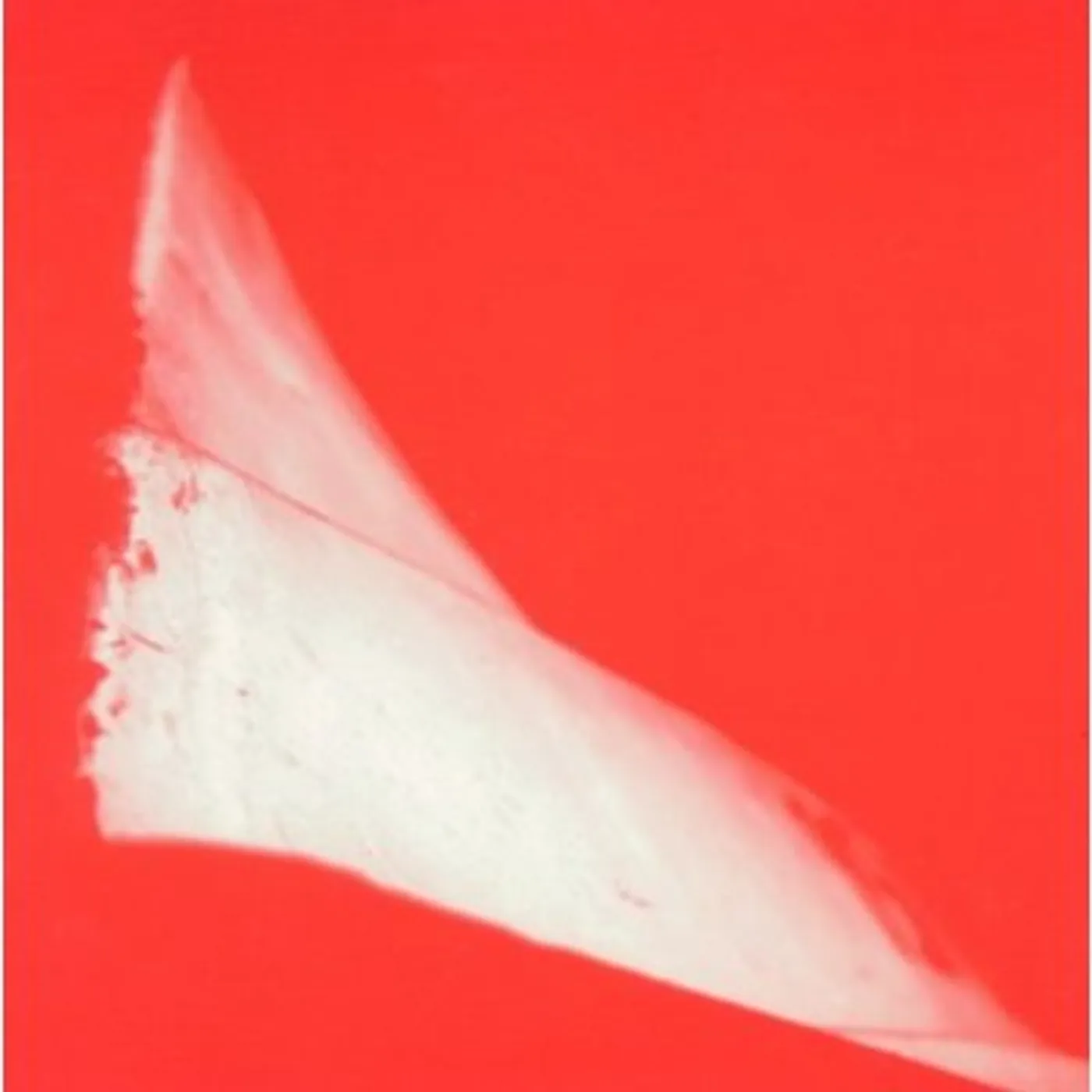 Phill Niblock G2 44+/X2 CD