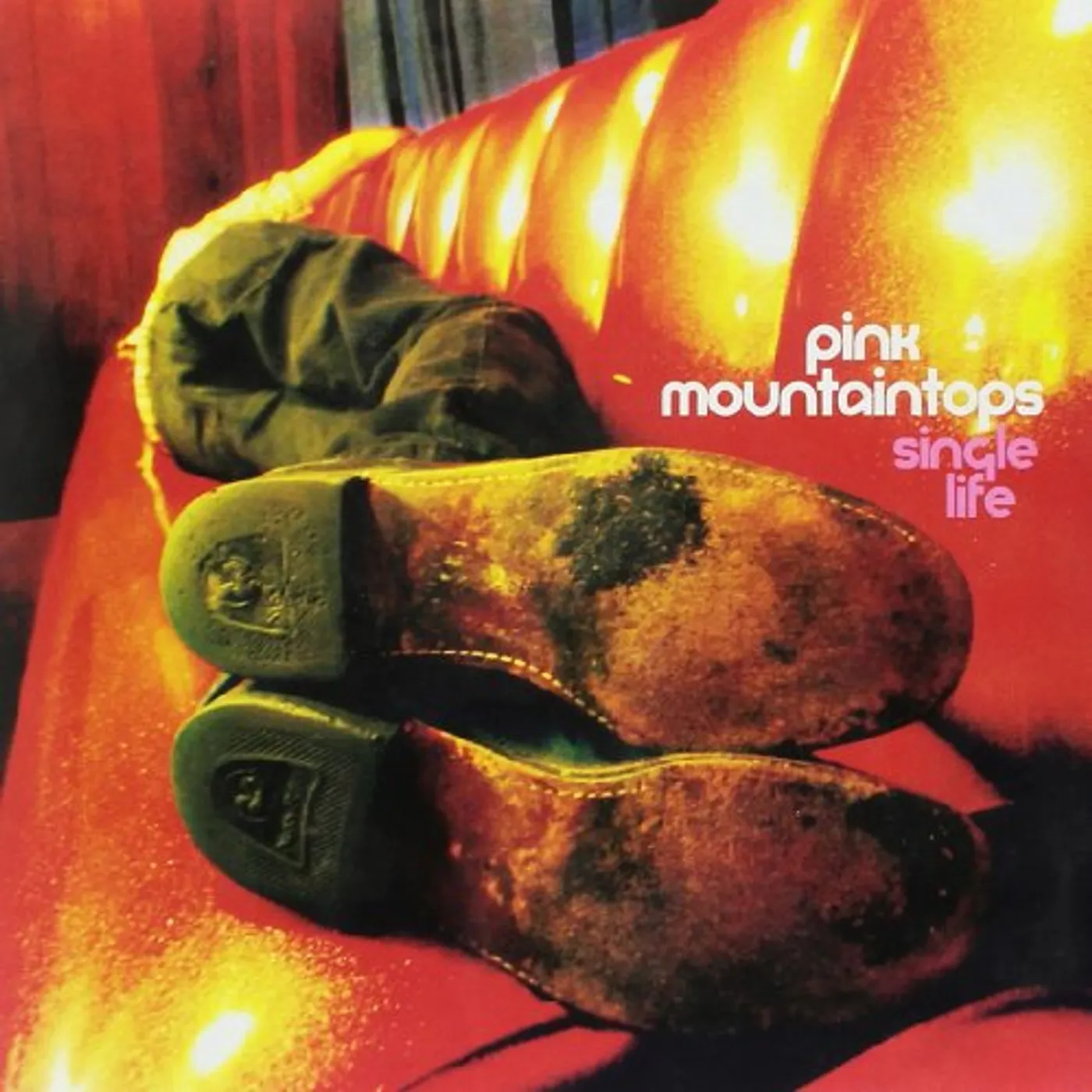 Pink Mountaintops SINGLE LIFE / MY BEST FRIEND Vinyl Record