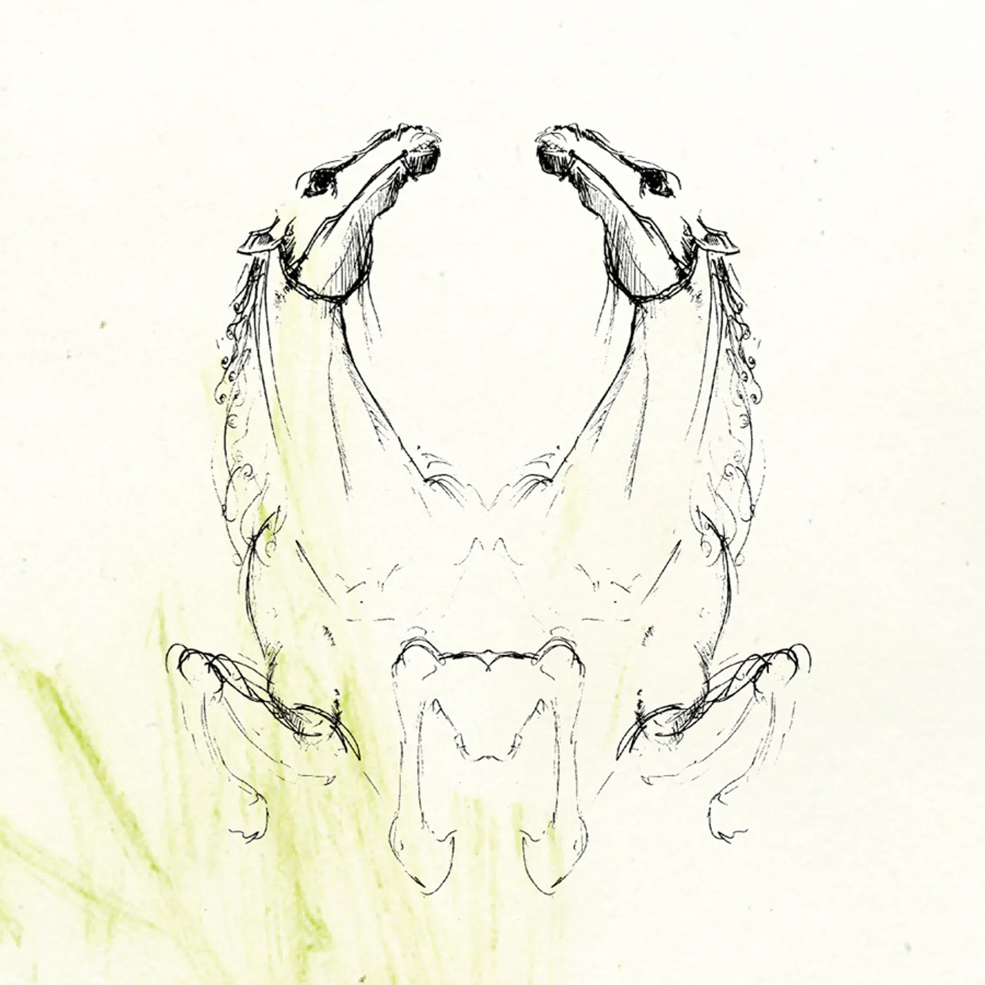 My Brightest Diamond TEAR IT DOWN CD