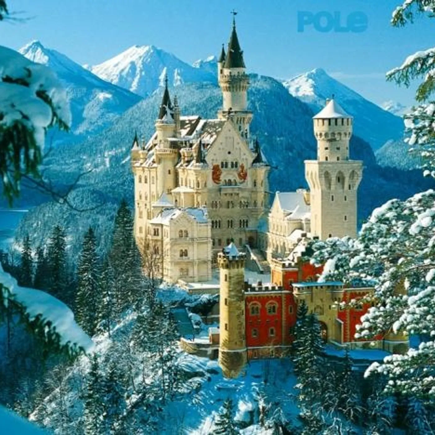 Pole Steingarten Vinyl Record