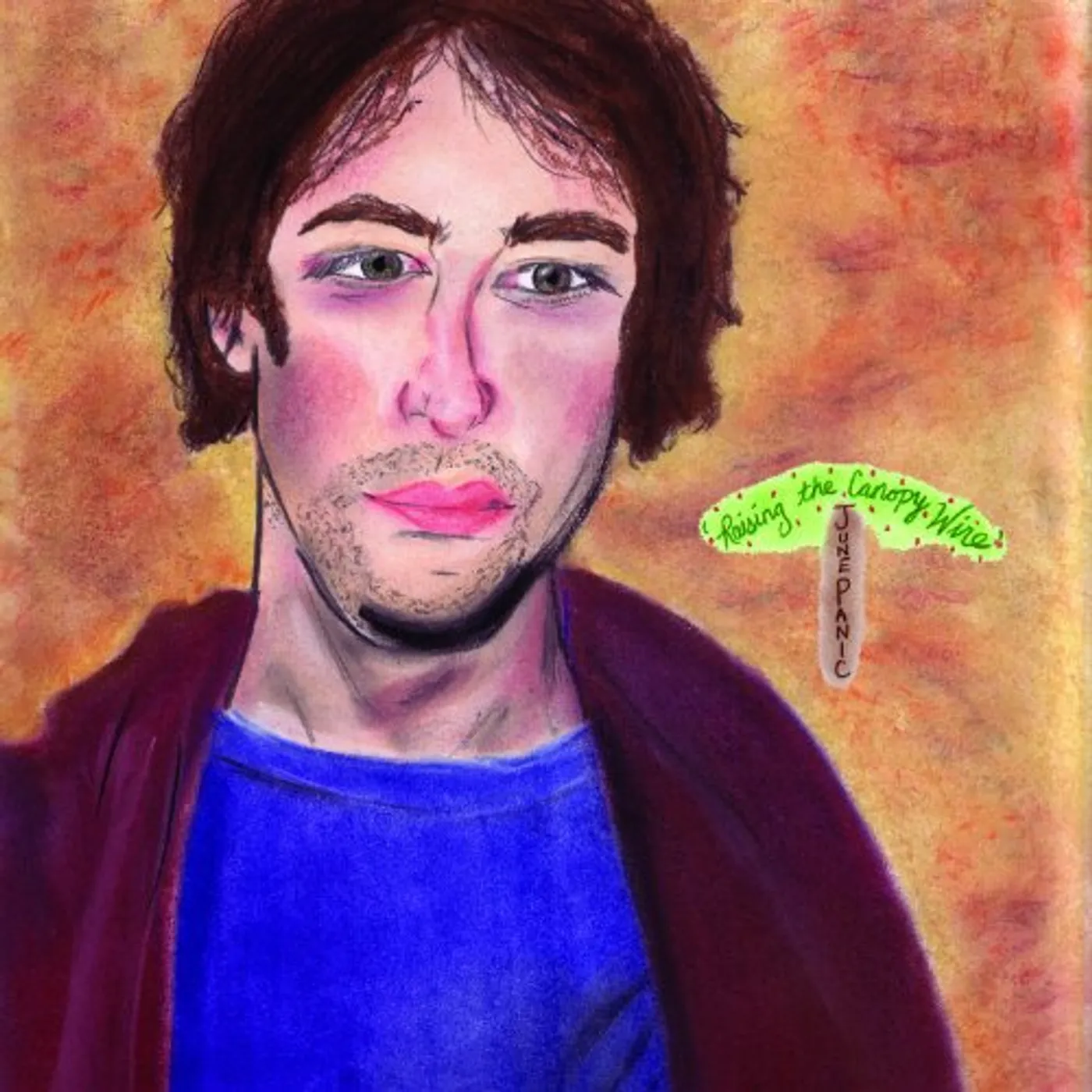 June Panic Raising The Canopy Wire (One Sided Lp) Vinyl Record