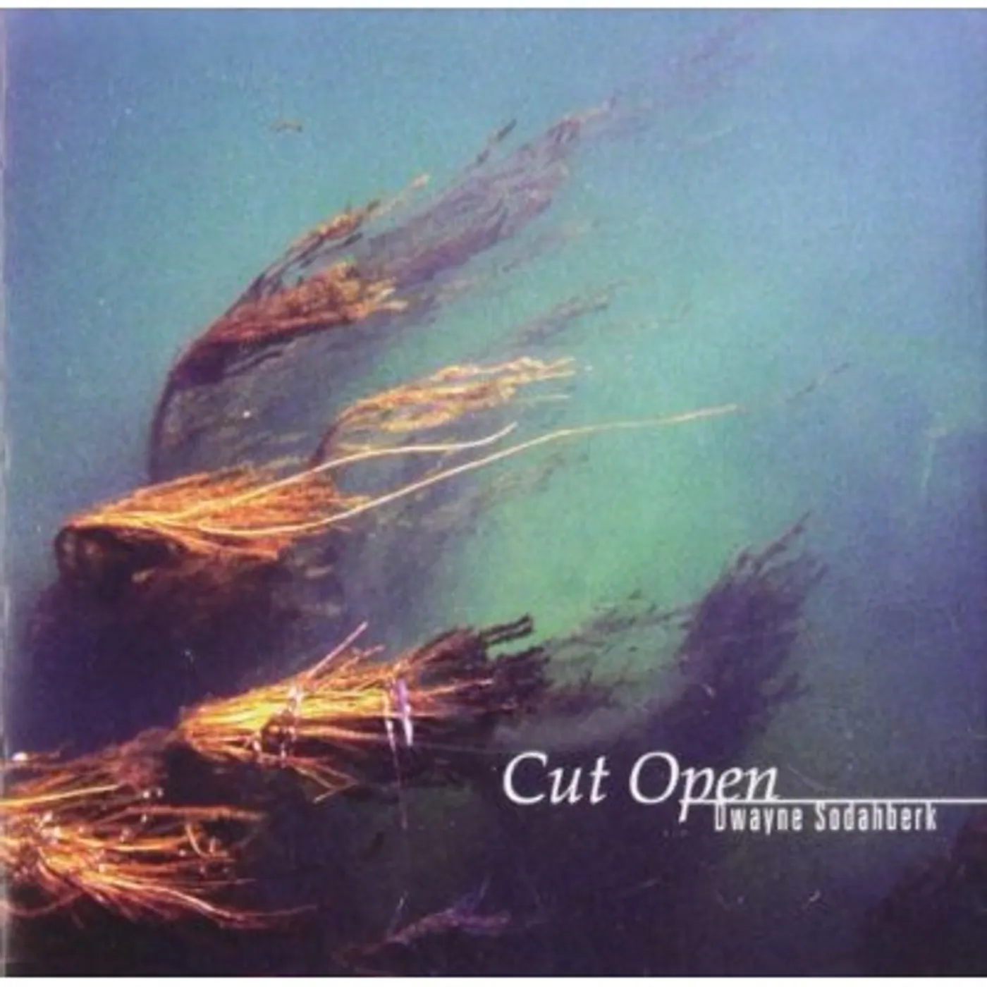 Dwayne Sodahberk CUT OPEN CD