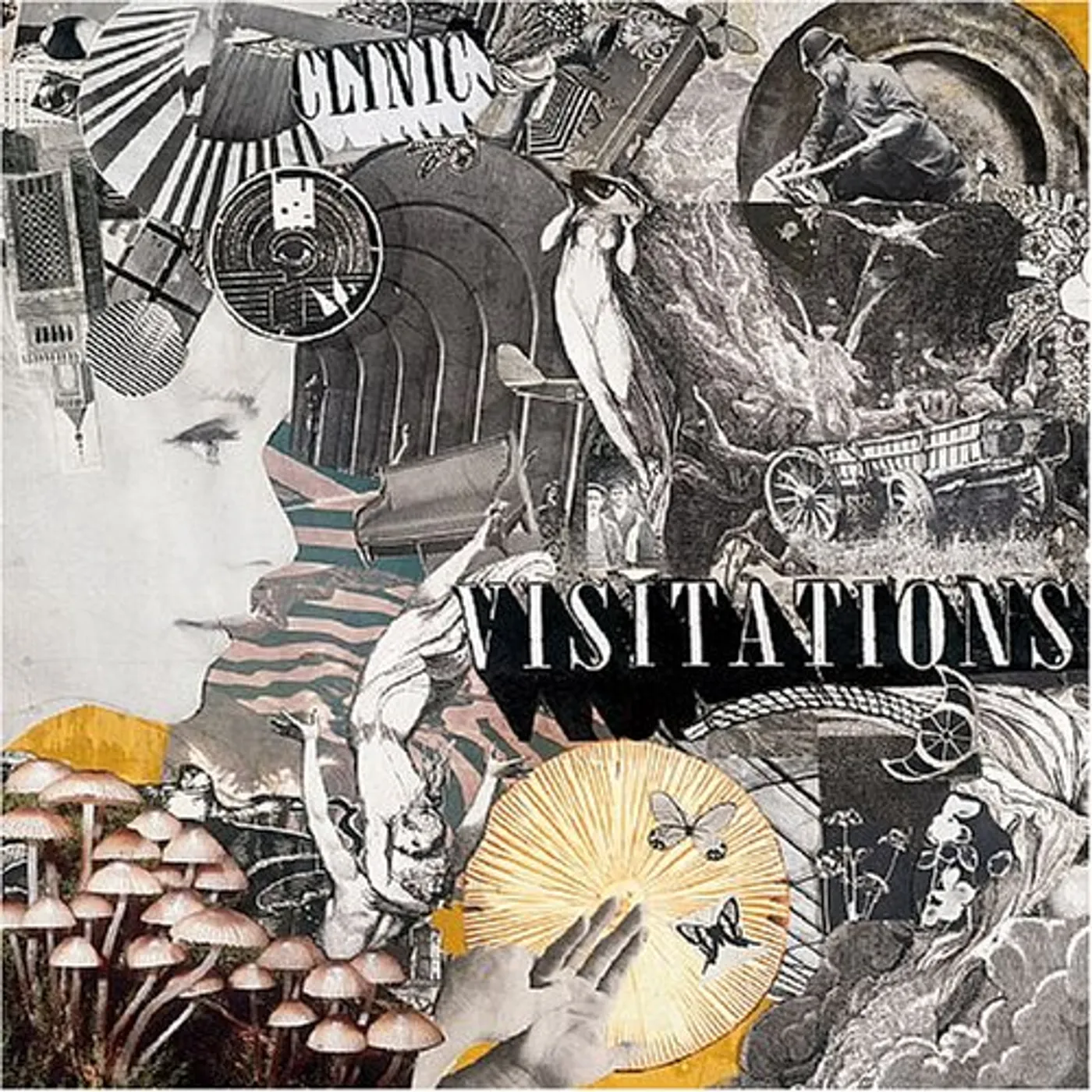 Clinic Visitations Vinyl Record