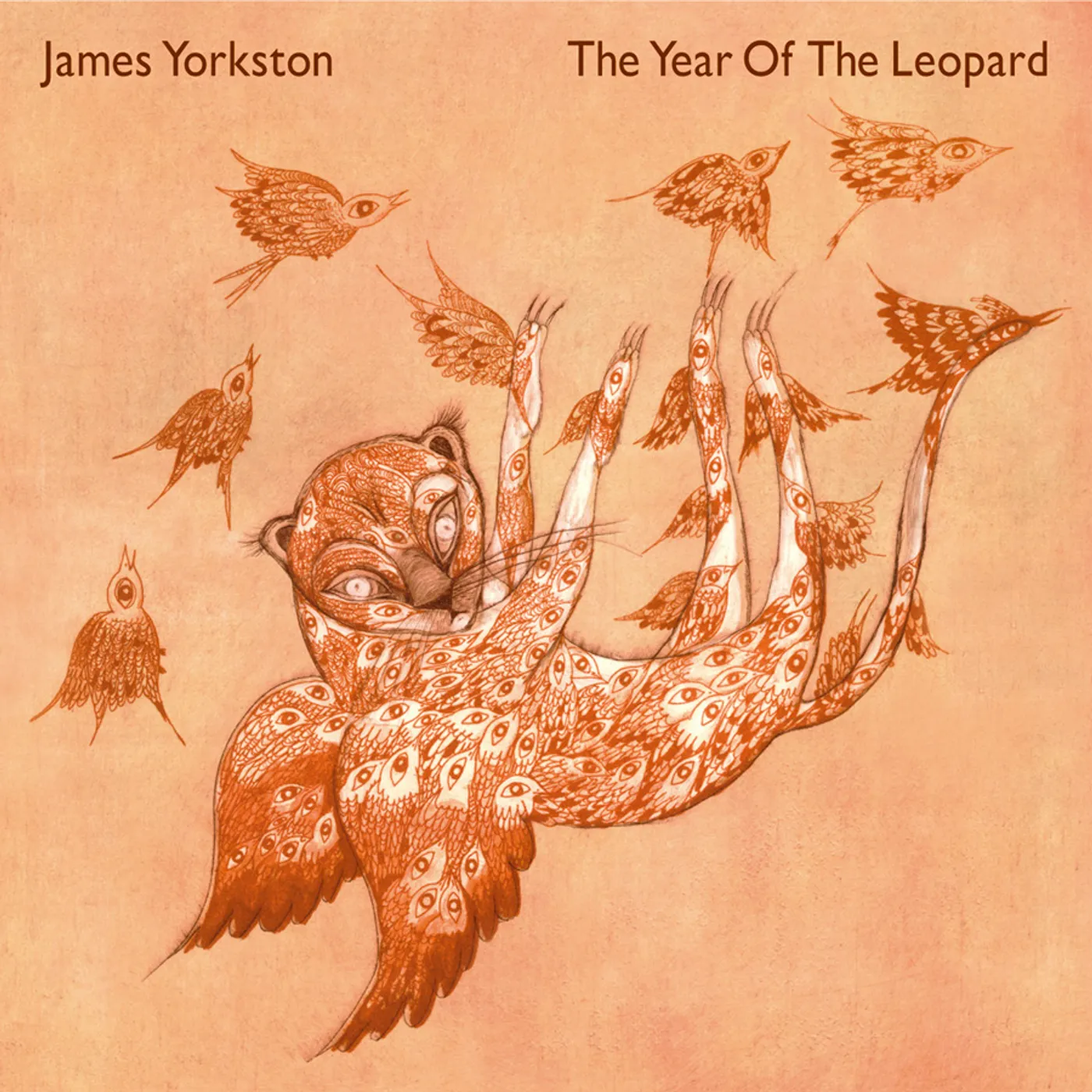 James Yorkston YEAR OF THE LEOPARD CD