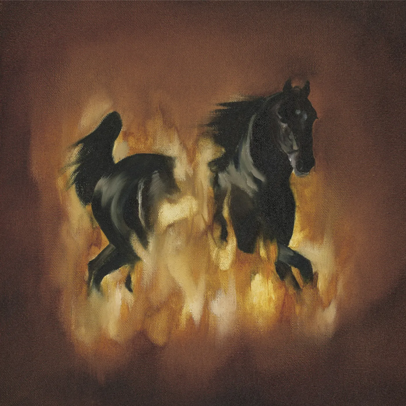 The Besnard Lakes ARE THE DARK HORSE Vinyl Record