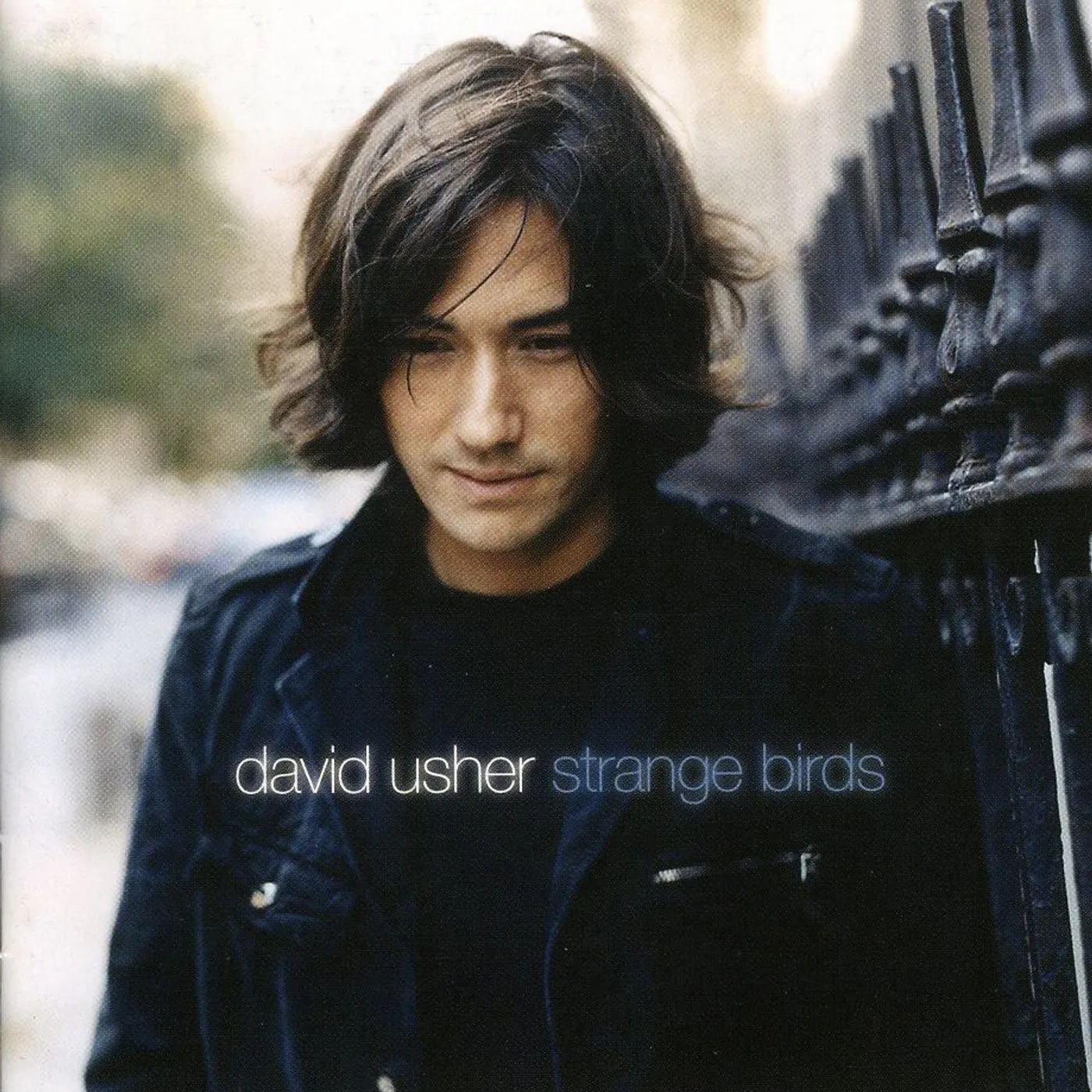 David Usher STRANGE BIRDS CD