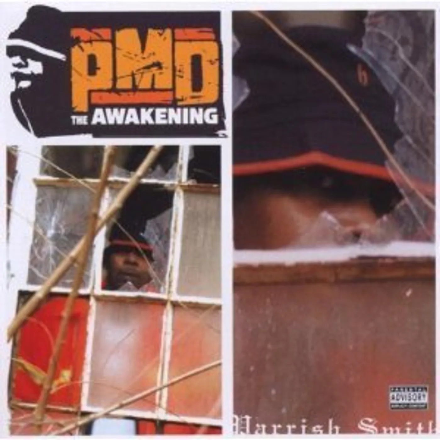 Pmd AWAKENING Vinyl Record