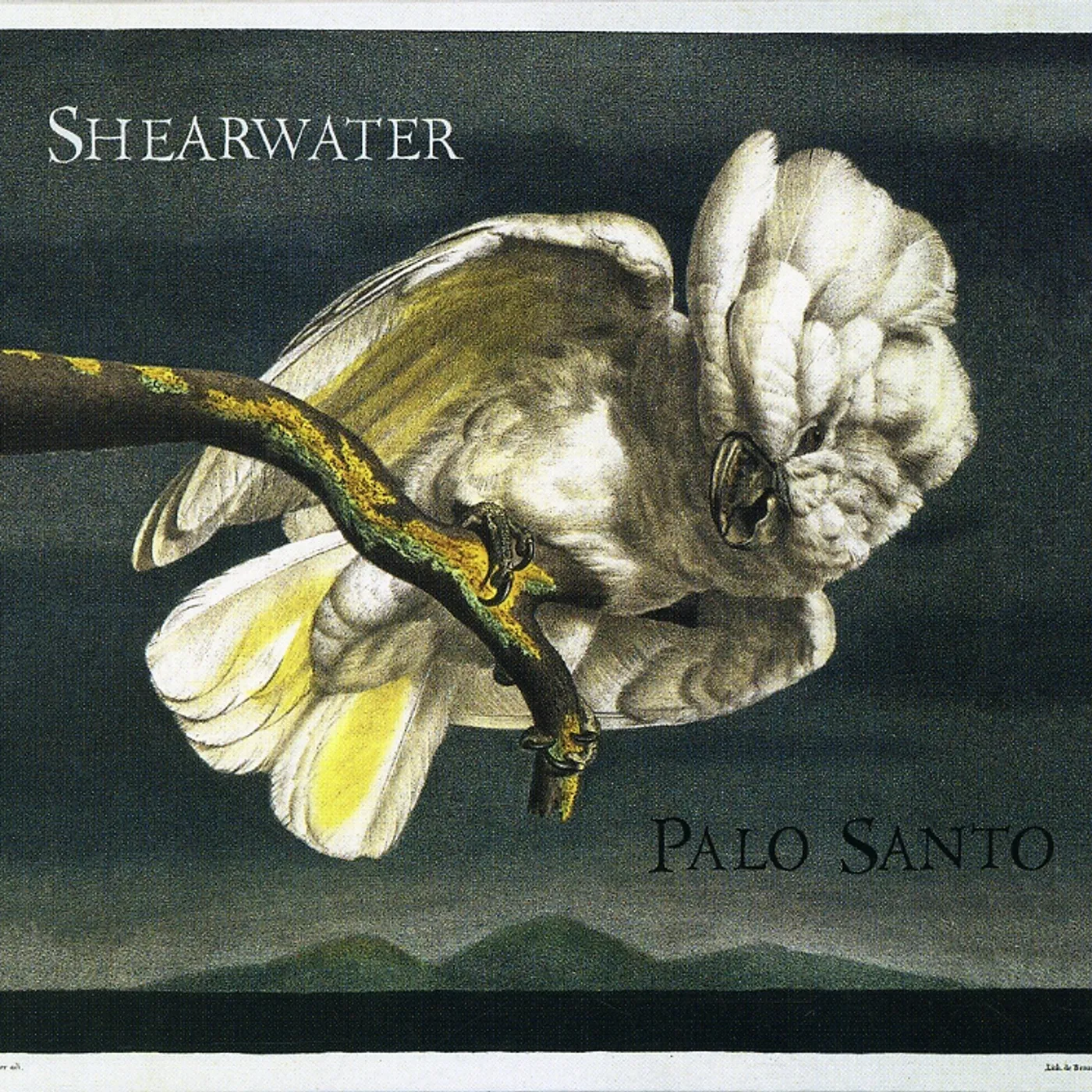 Shearwater PALO SANTO CD