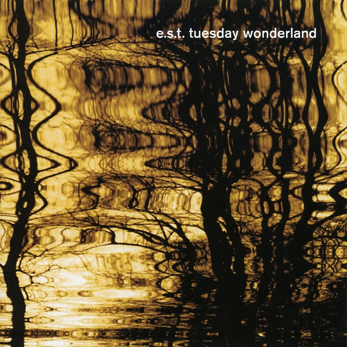 Esbjörn Svensson Trio TUESDAY WONDERLAND CD