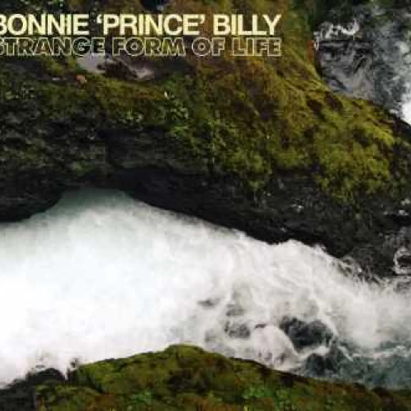 Bonnie Prince Billy STRANGE FORM OF LIFE CD