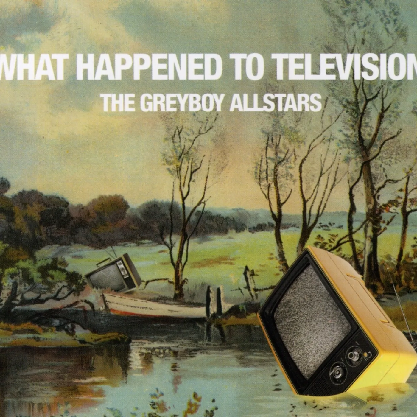The Greyboy Allstars WHAT HAPPENED TO TV CD