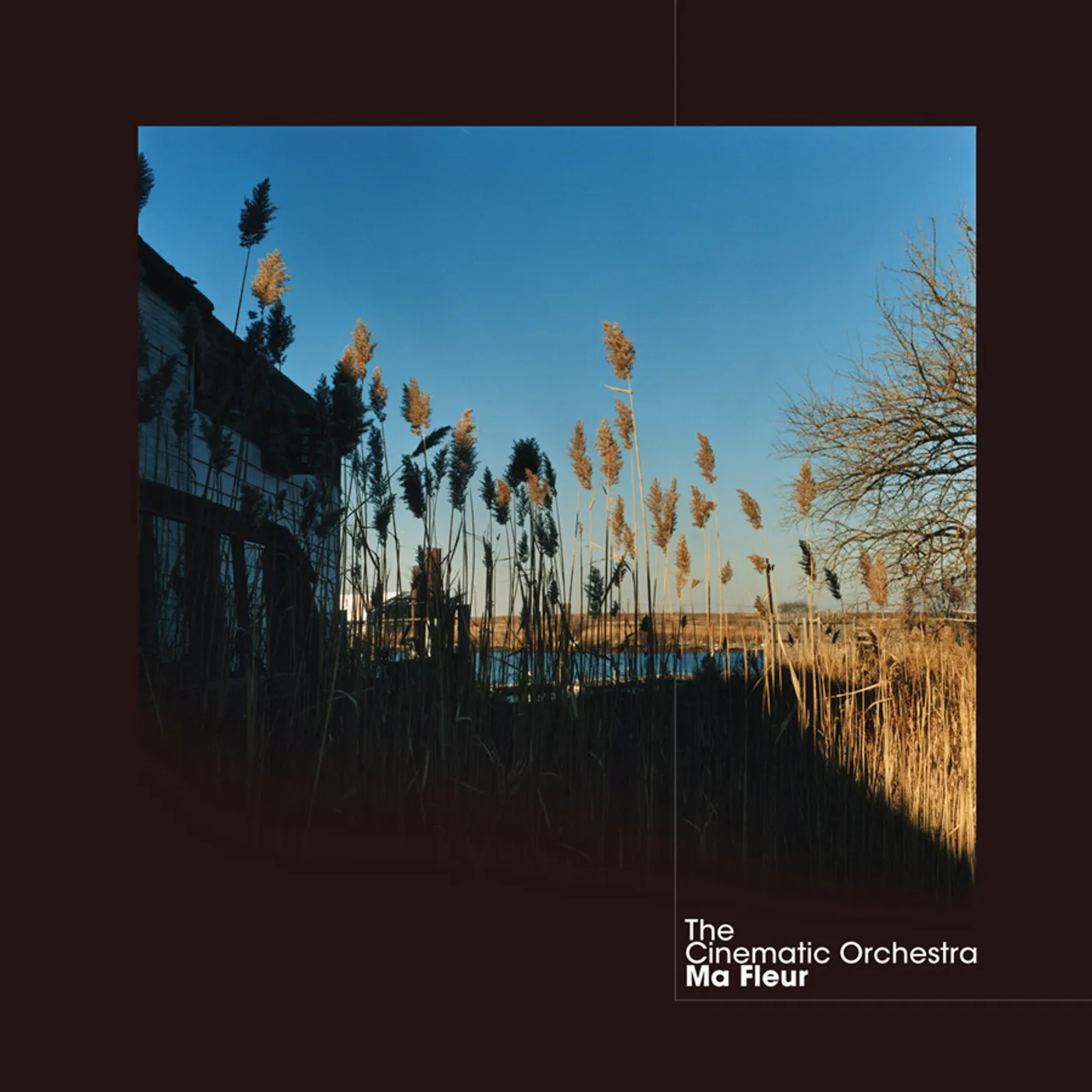 The Cinematic Orchestra MA FLEUR CD
