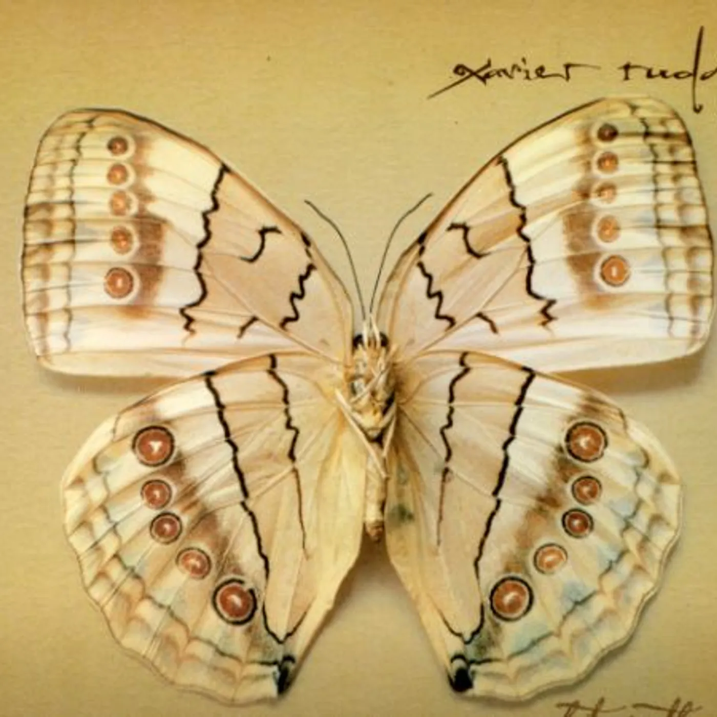 Xavier Rudd WHITE MOTH CD