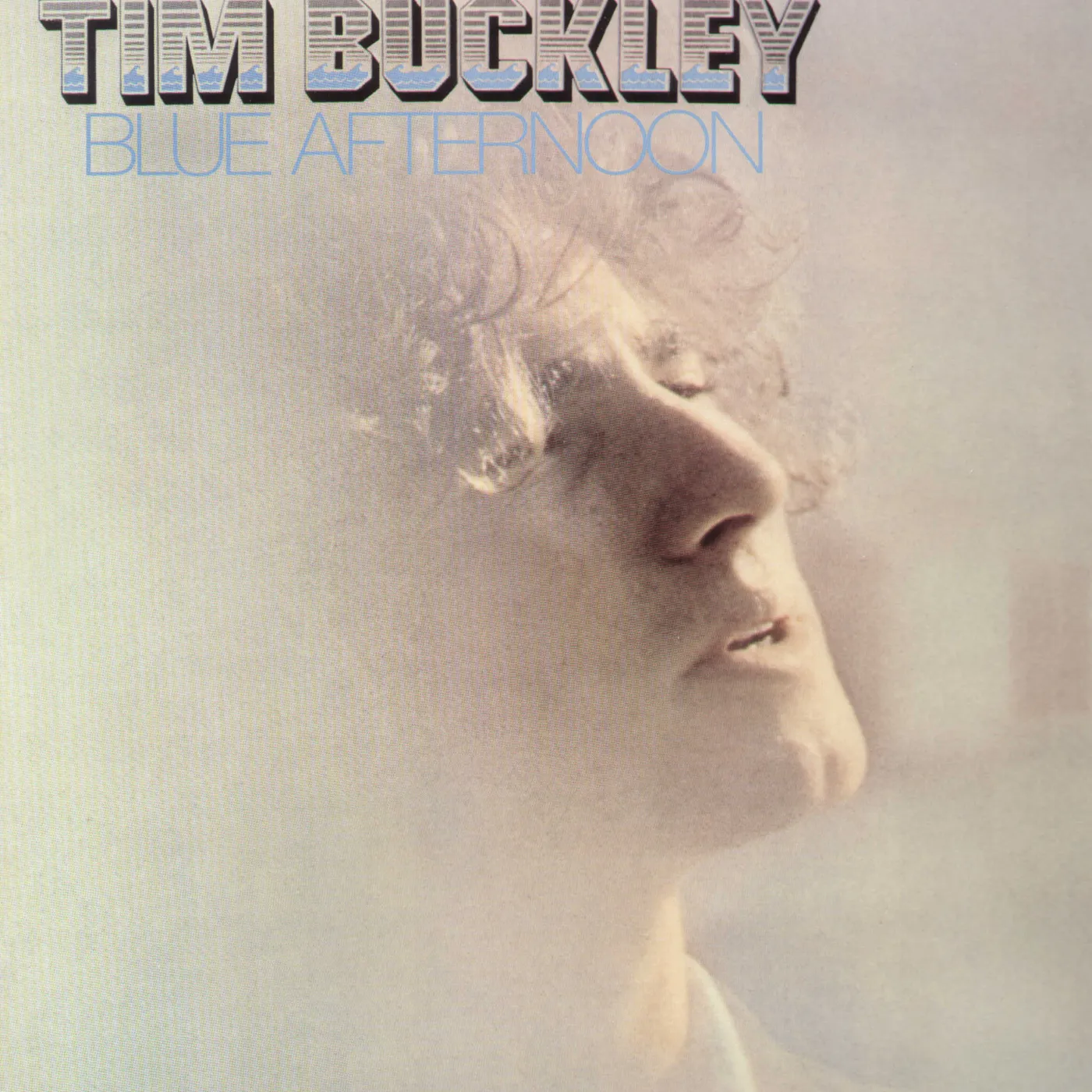 Tim Buckley Blue Afternoon Vinyl Record