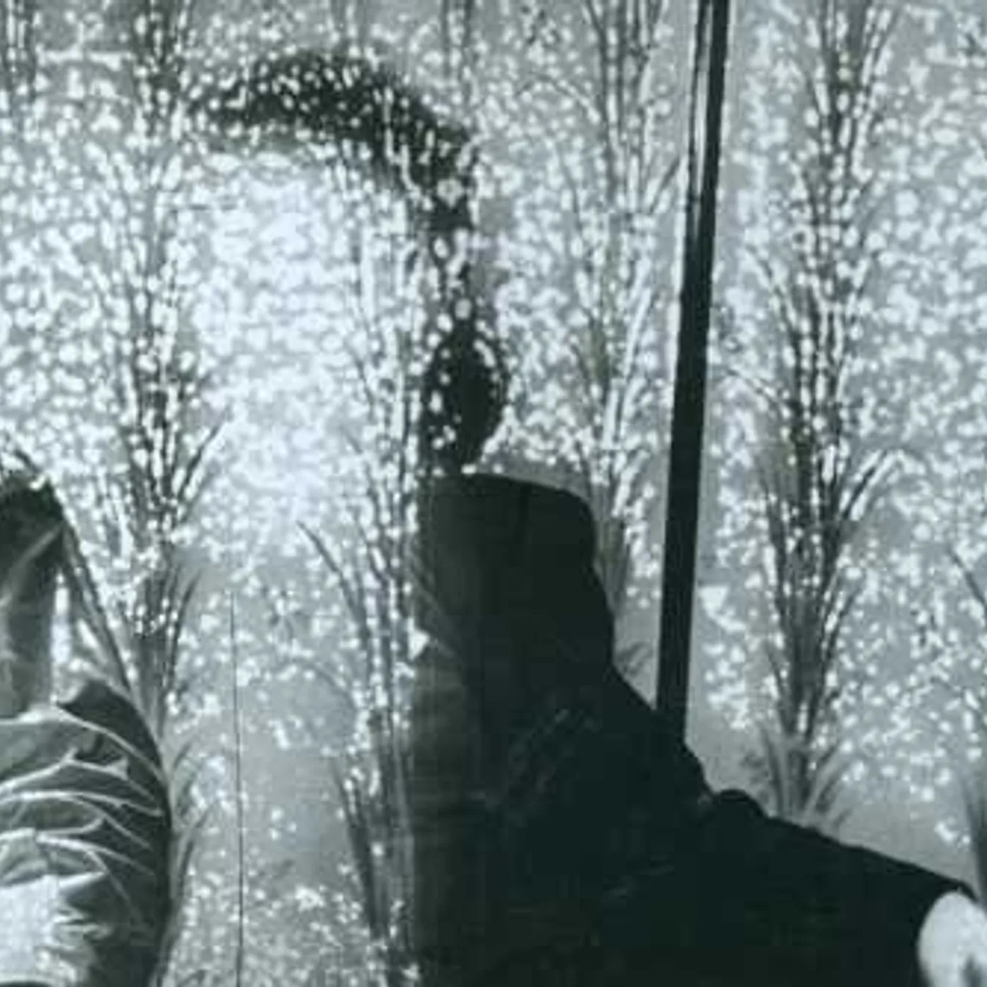 Zelienople HIS / HERS CD