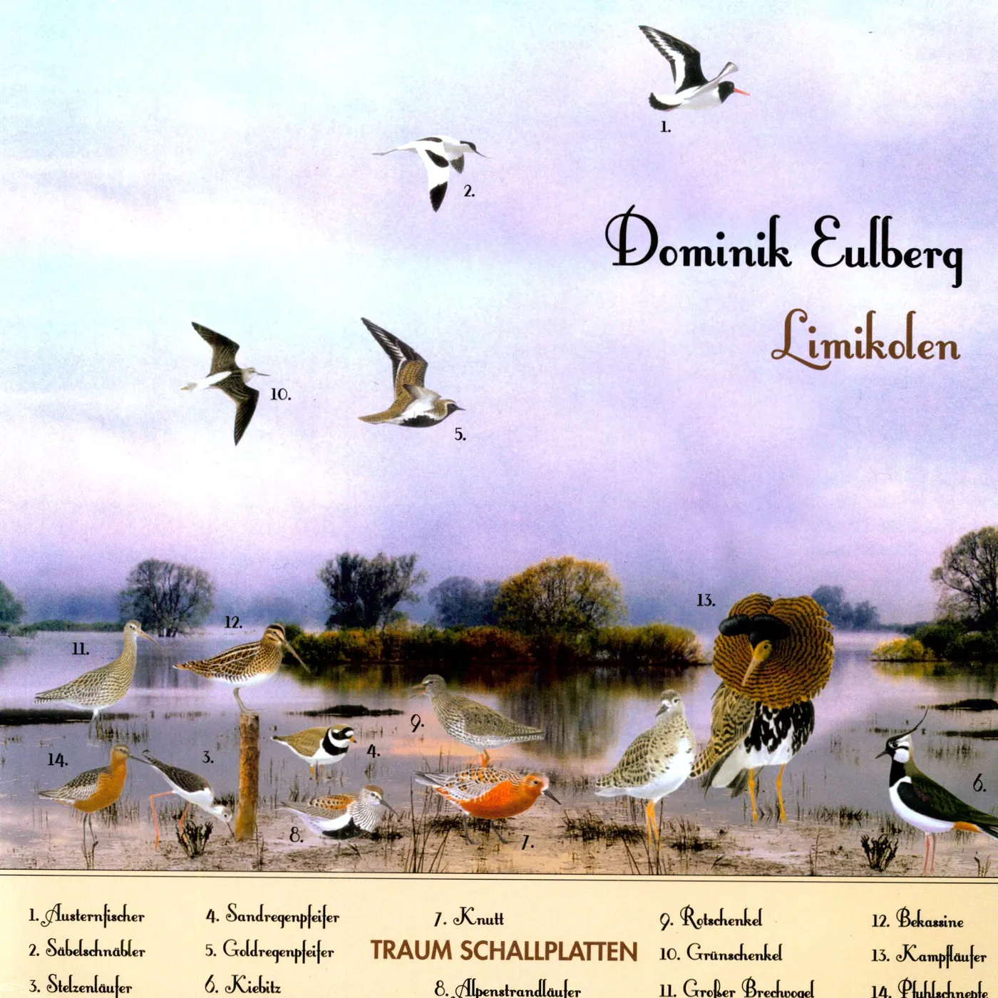 Dominik Eulberg Limikolen Vinyl Record