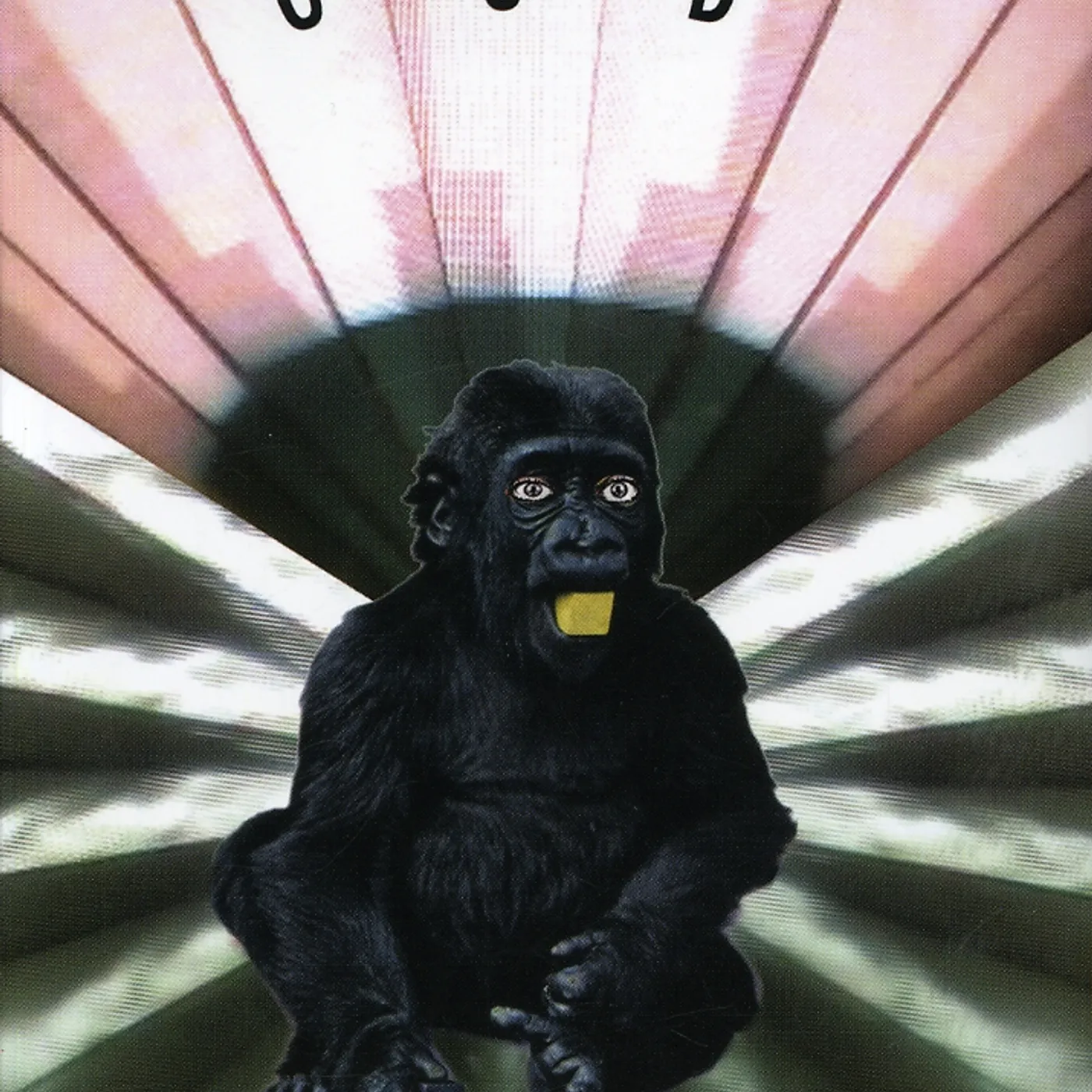 Gang Gang Dance RETINA RIDDIM DVD