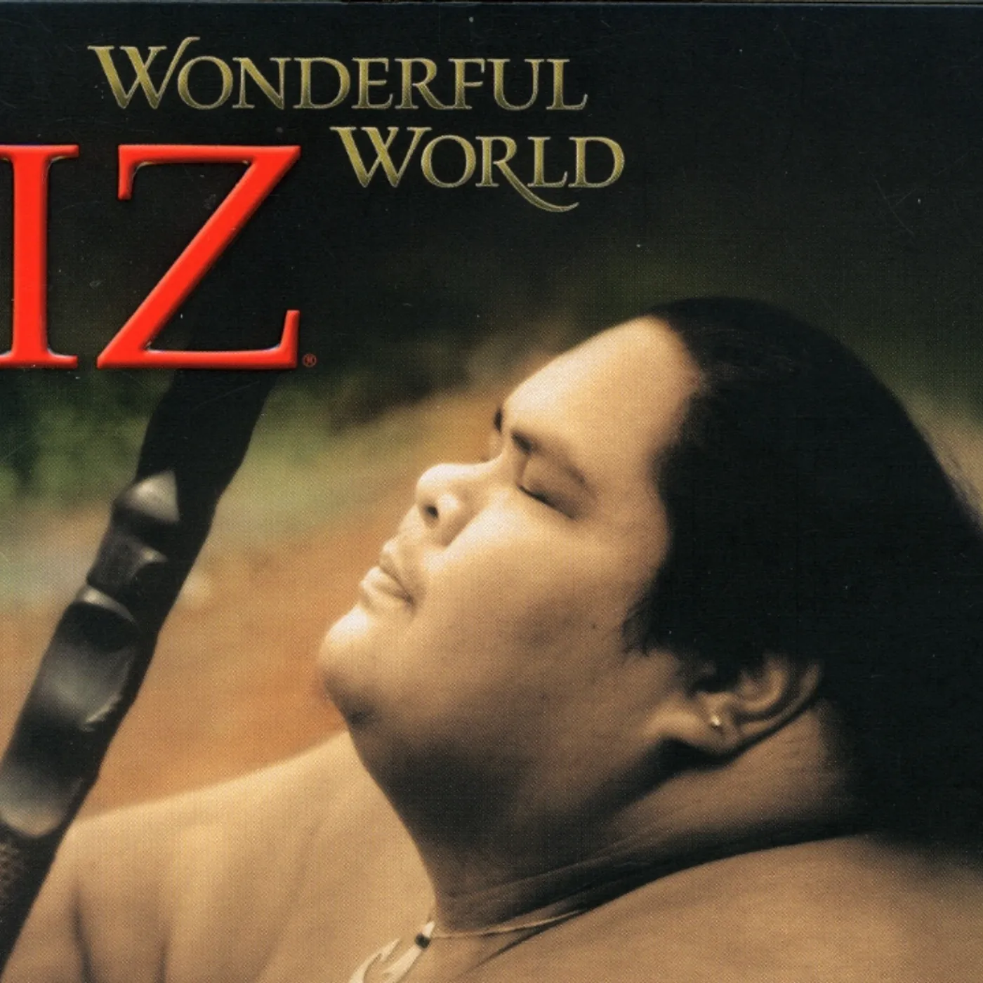 Israel Kamakawiwo'ole WONDERFUL WORLD CD