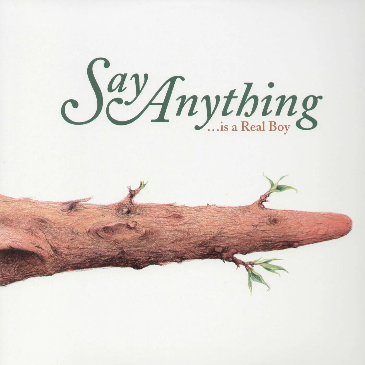 Say Anything IS AREAL BOY Vinyl Record