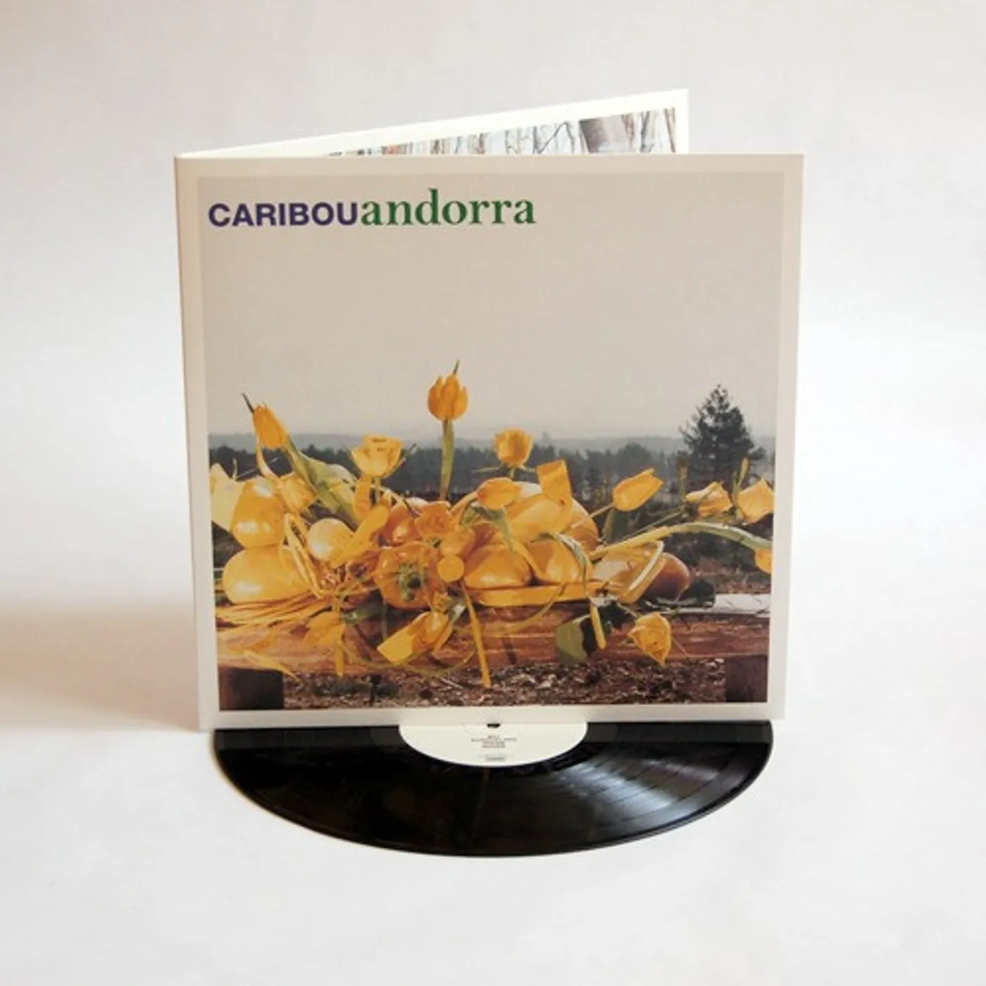 Caribou Andorra Vinyl Record