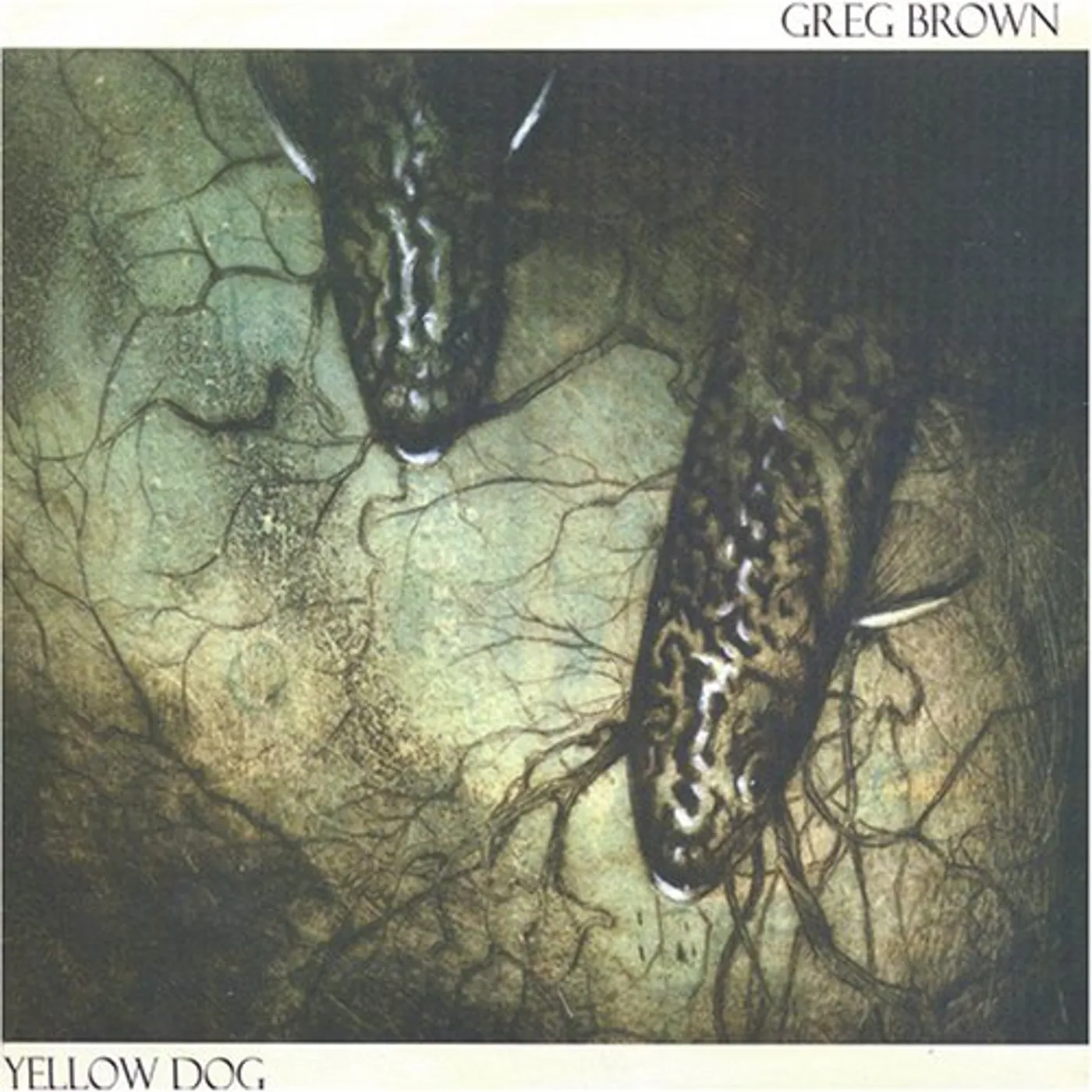 Greg Brown YELLOW DOG CD