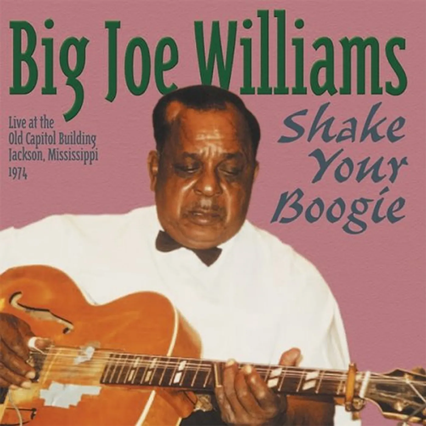 Big Joe Williams SHAKE YOUR BOOGIE CD