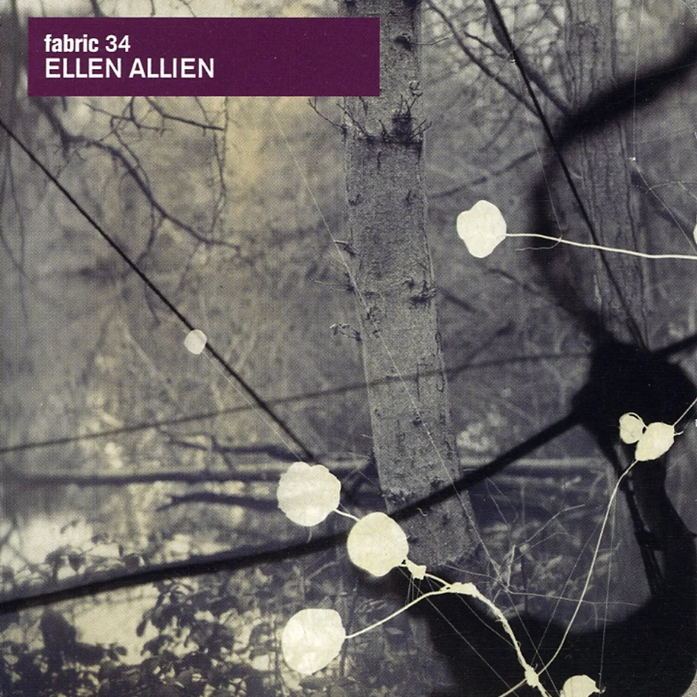Ellen Allien FABRIC 34 (OCRD) CD