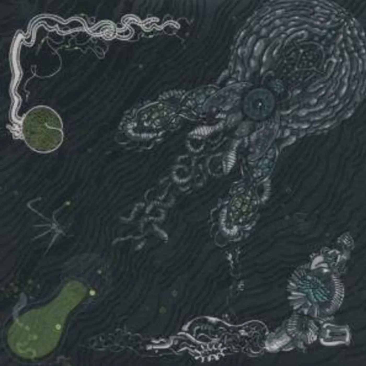 Shape Of Broad Minds BLUE EXPERIENCE CD