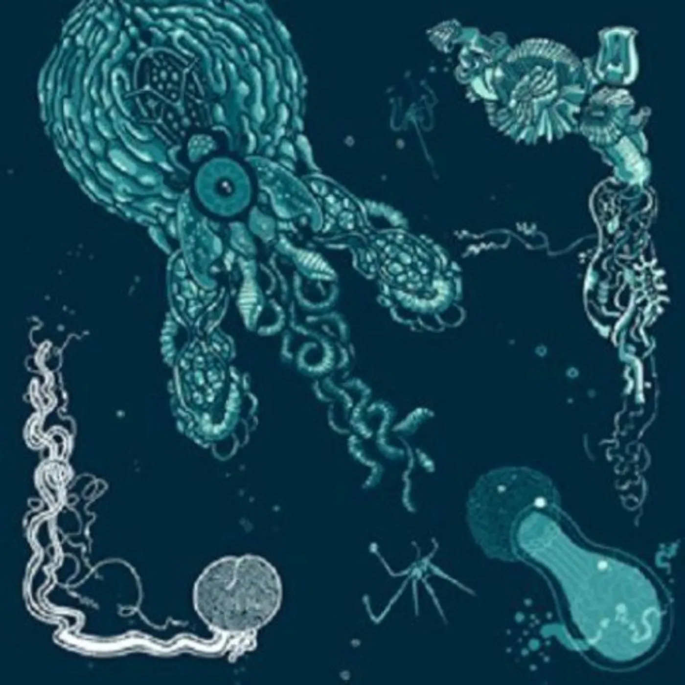 Shape Of Broad Minds Blue Experience Vinyl Record