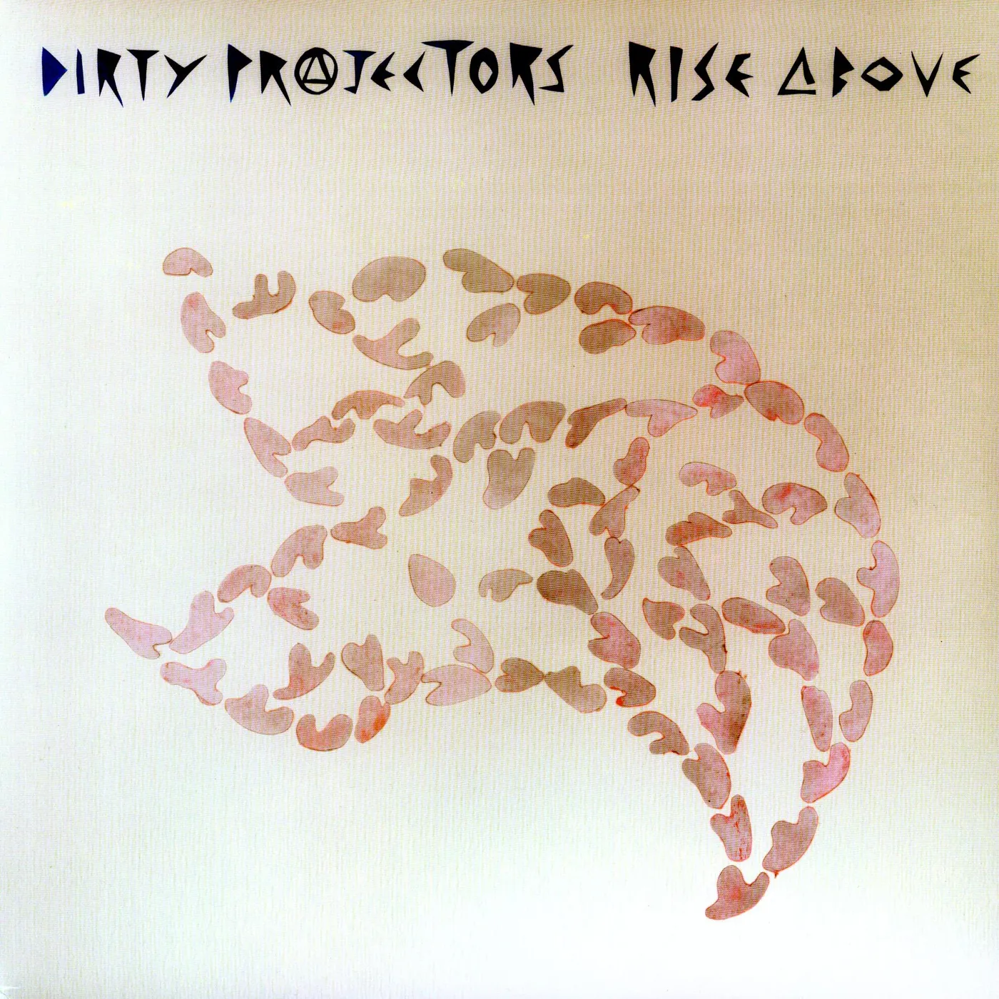 Dirty Projectors Rise Above Vinyl Record