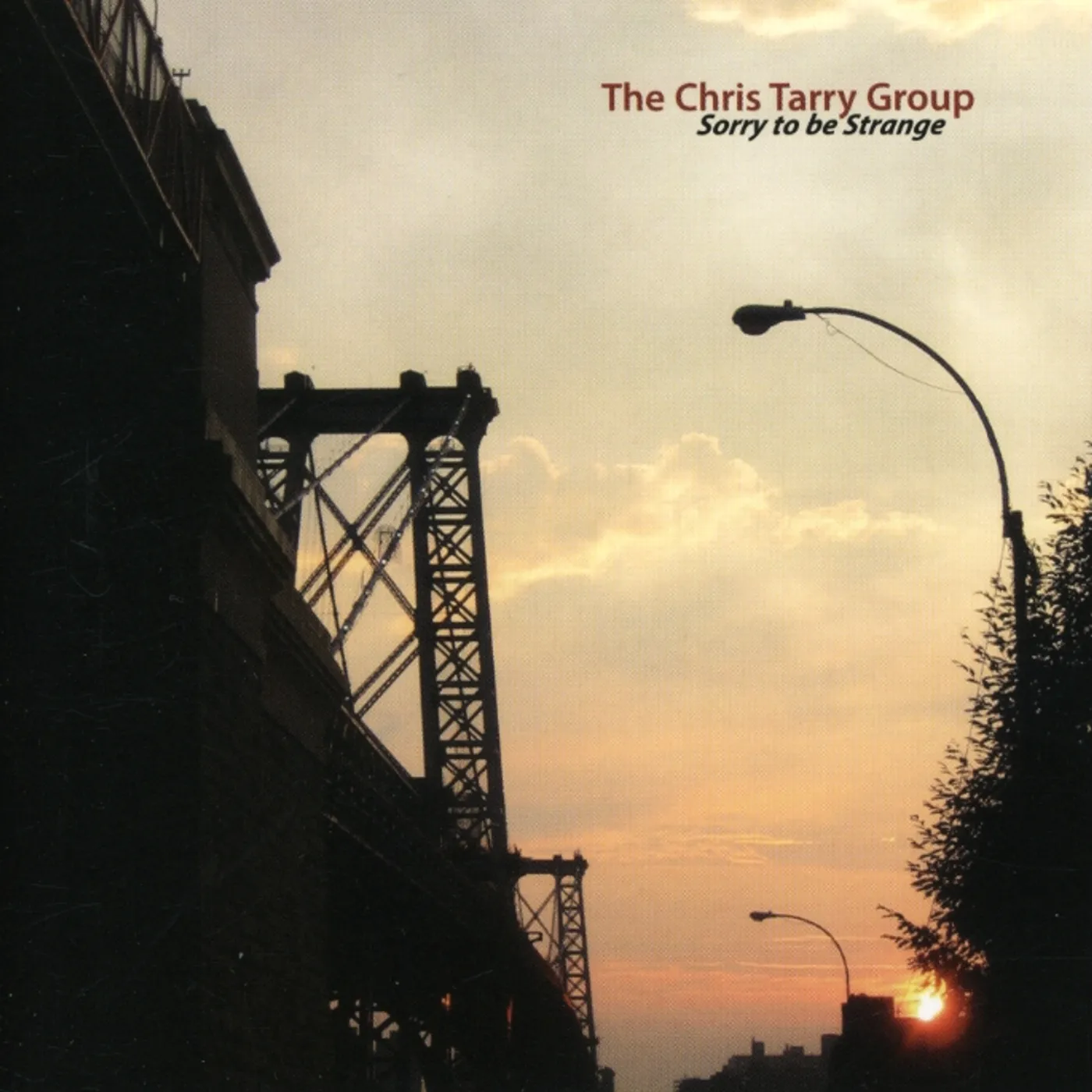 Chris Tarry SORRY TO BE STRANGE CD