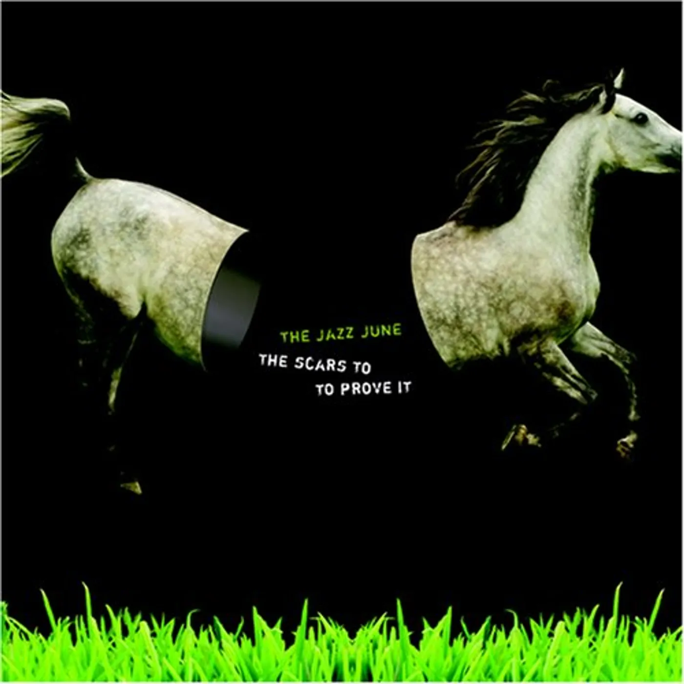 The Jazz June SCARS TO PROVE IT CD