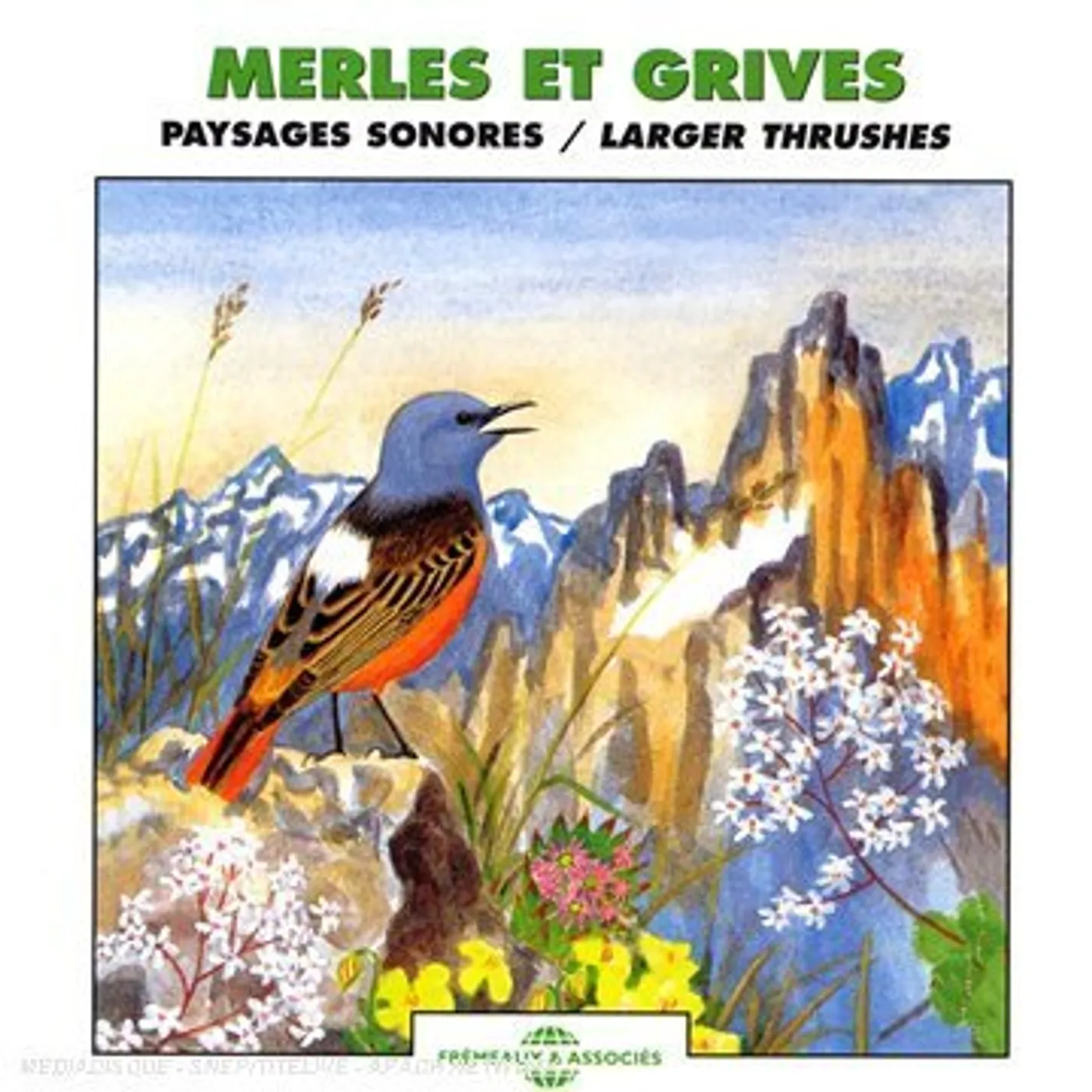 Echoes Of Nature LARGER THRUSHES CD