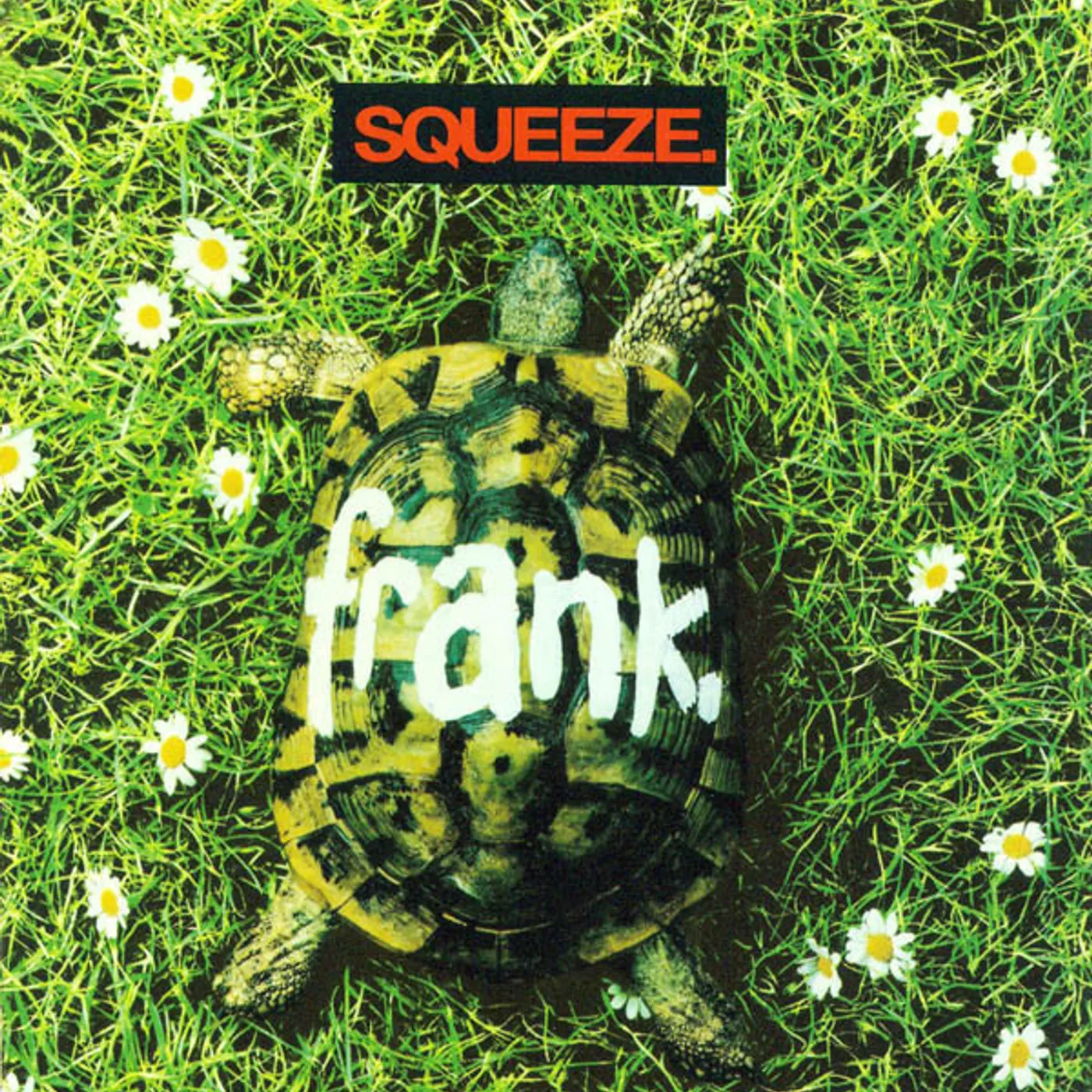 Squeeze FRANK CD