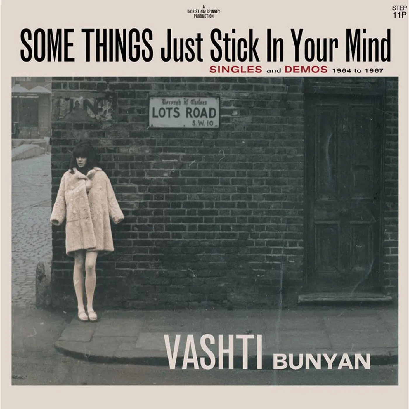 Vashti Bunyan SOME THINGS JUST STICK IN YOU MIND: SINGLES CD