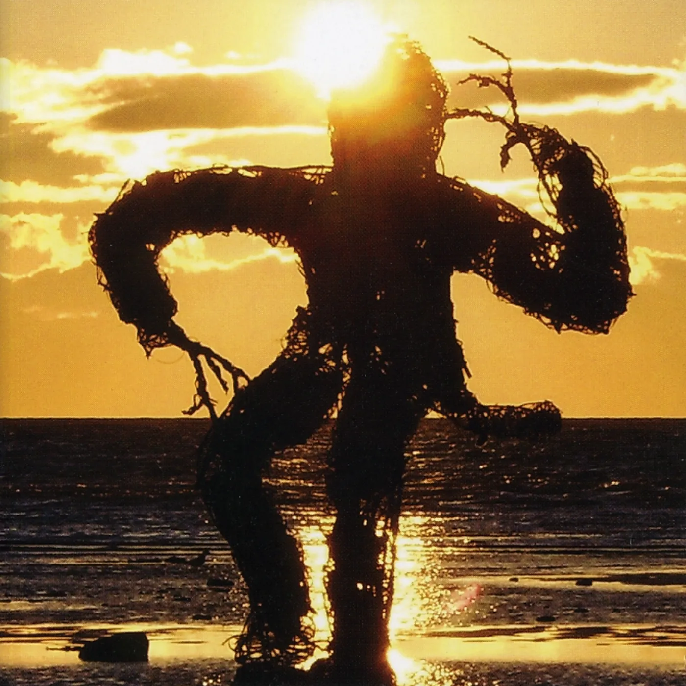 Frog Pocket COME ON PRIMATES CD