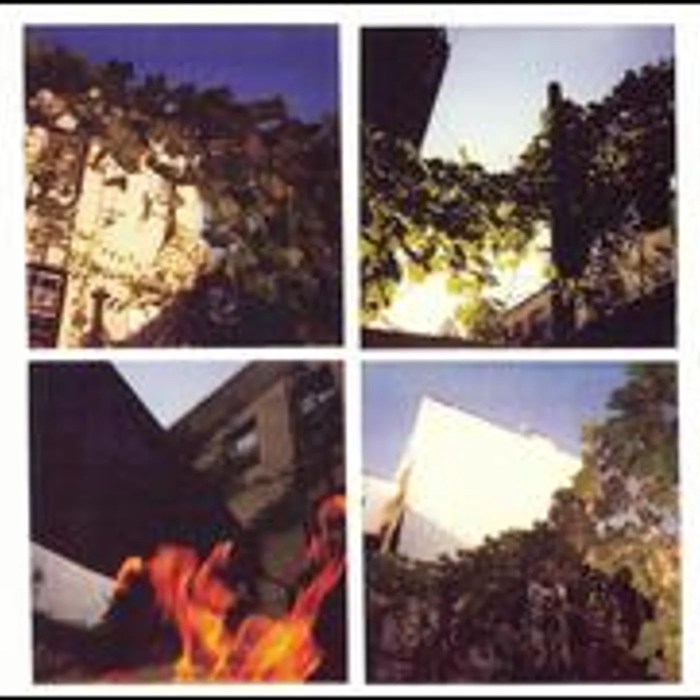 Meneguar STRANGERS IN OUR HOUSE (Vinyl)