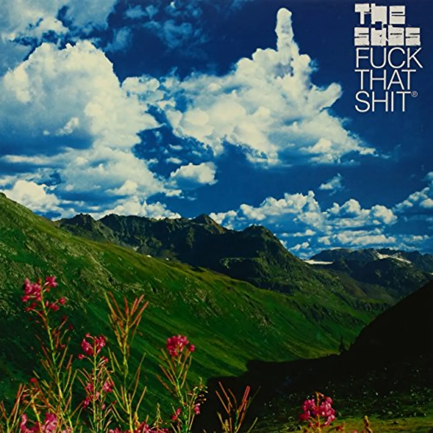 Subs FUCK THE SHIT / KISS MY TRANCE Vinyl Record