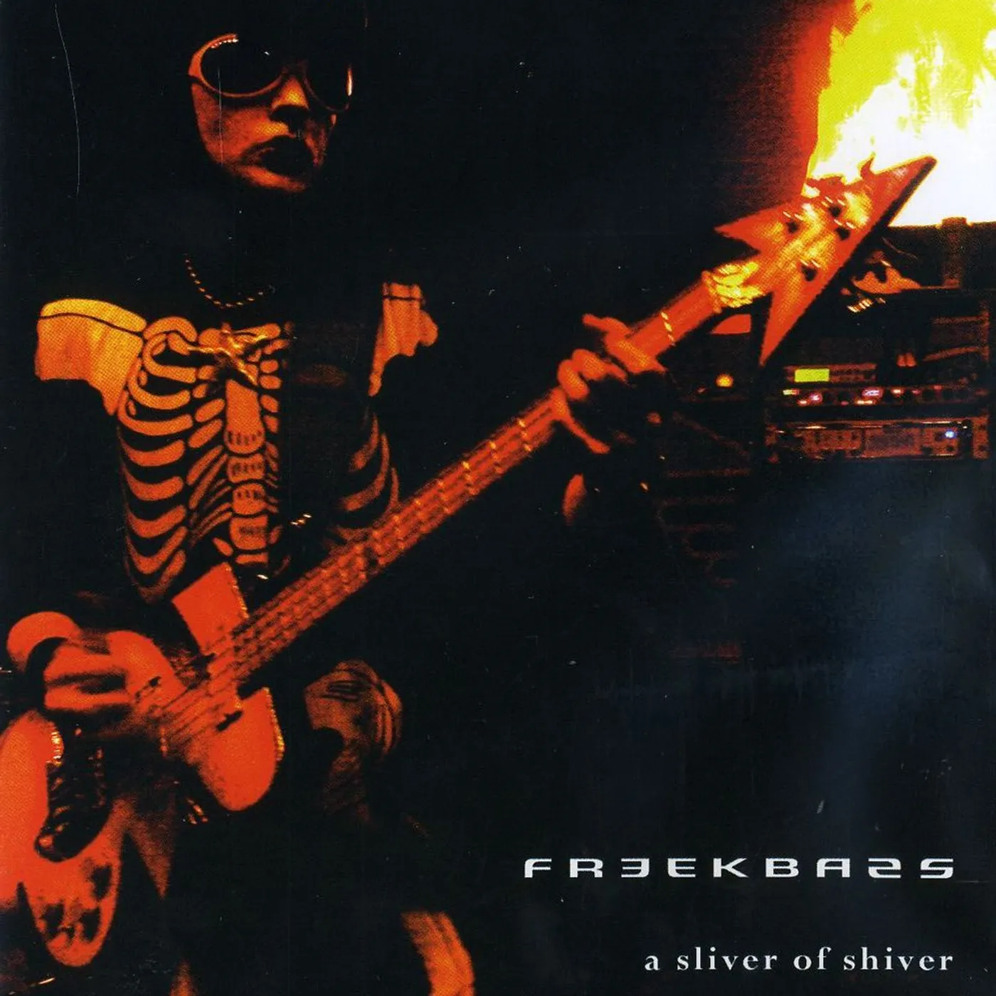 Freekbass SLIVER OF SHIVER DVD