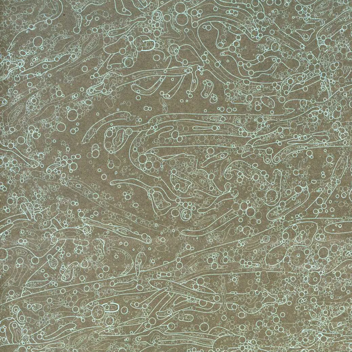 Pelican AFTER THE CEILING CRACKED DVD