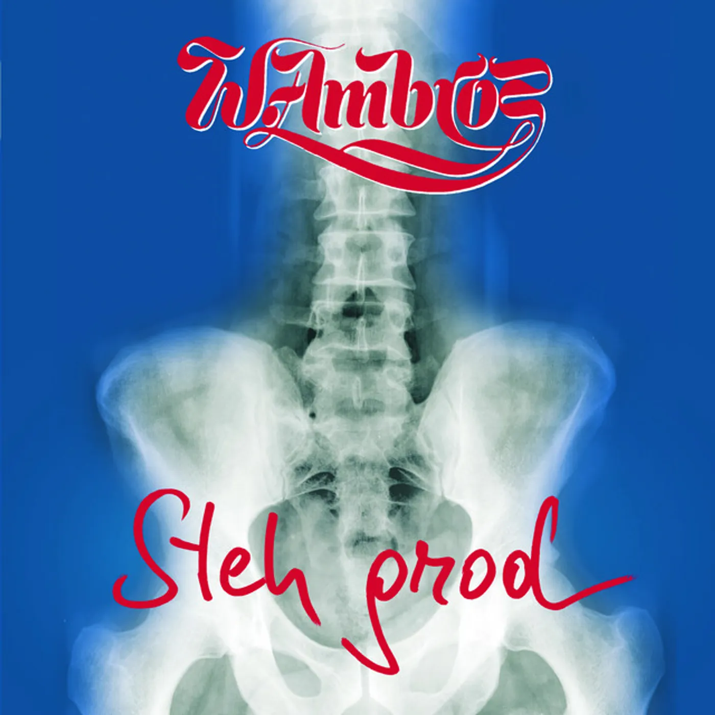 Wolfgang Ambros STEH GROD CD