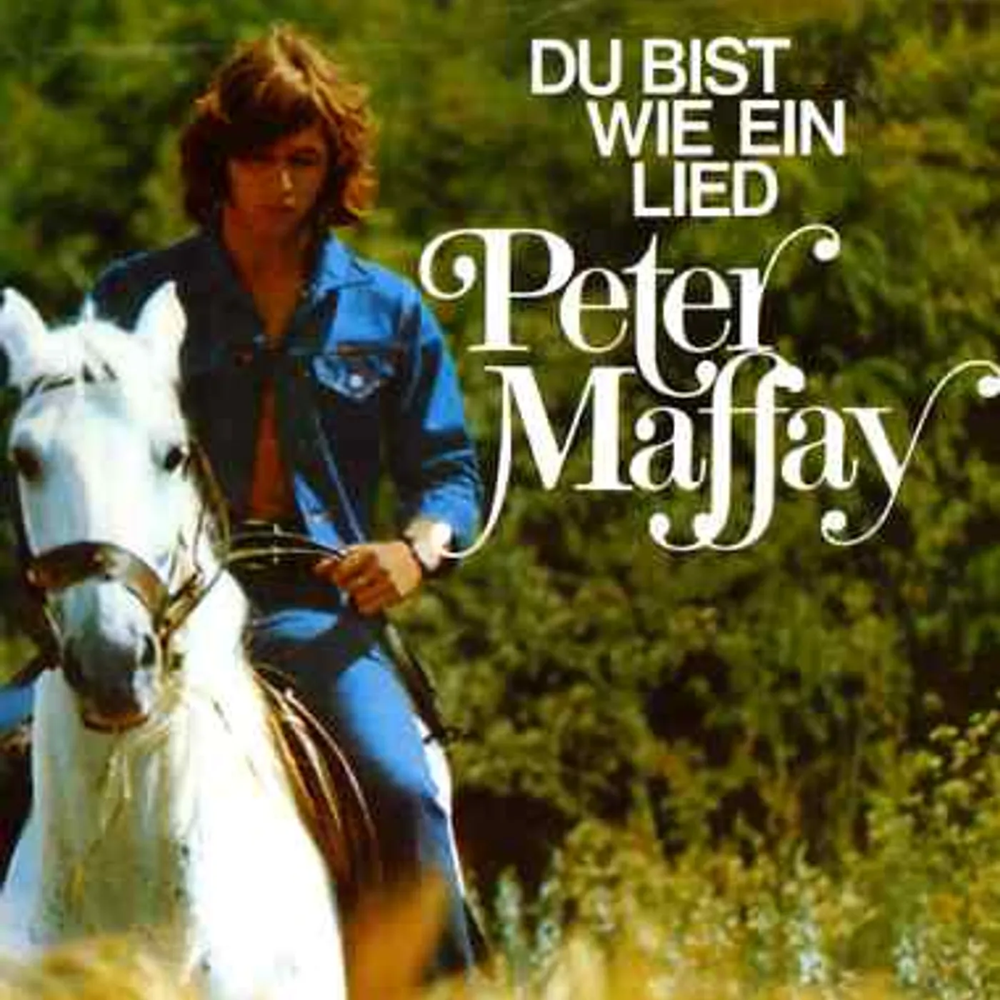 Peter Maffay DU BIST WIE EIN LIED CD