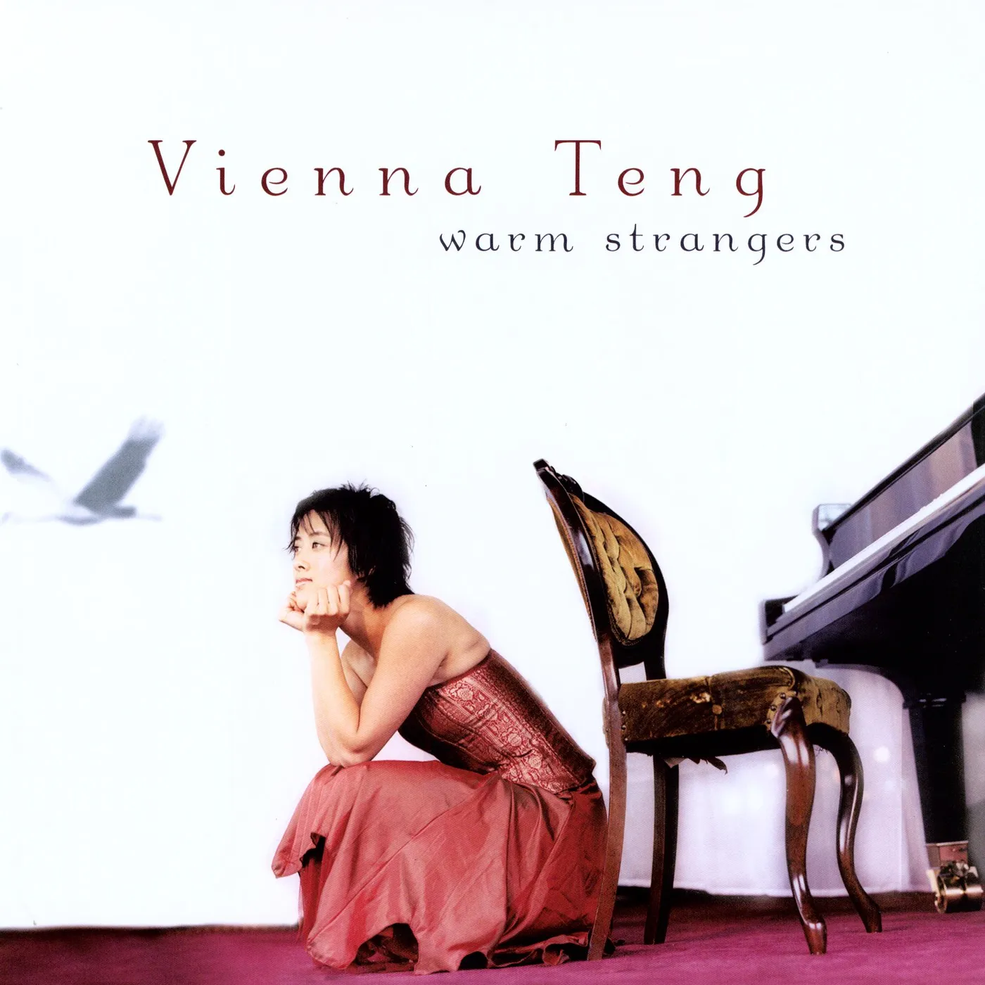 Vienna Teng WARM STRANGERS Vinyl Record