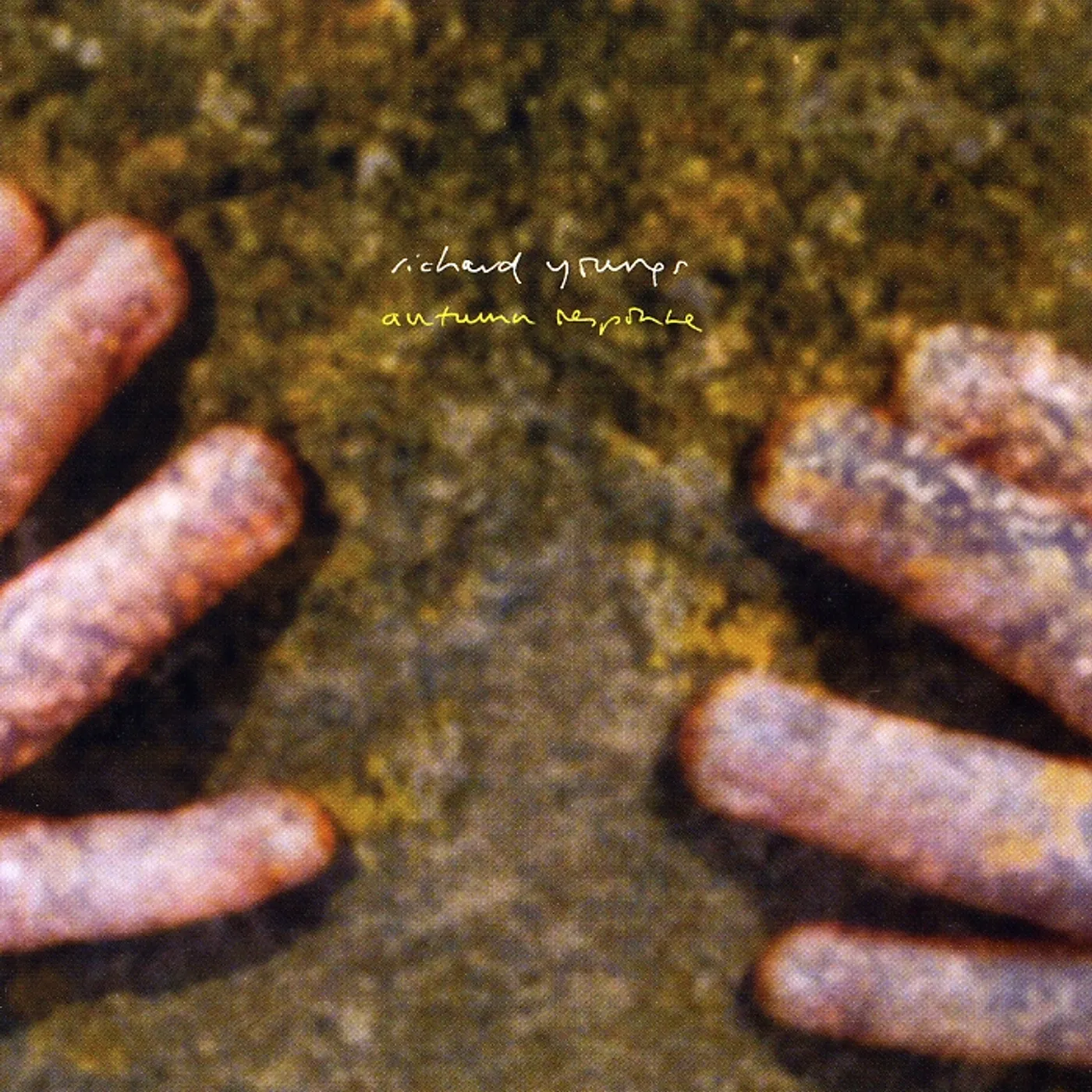 Richard Youngs AUTUMN RESPONSE CD